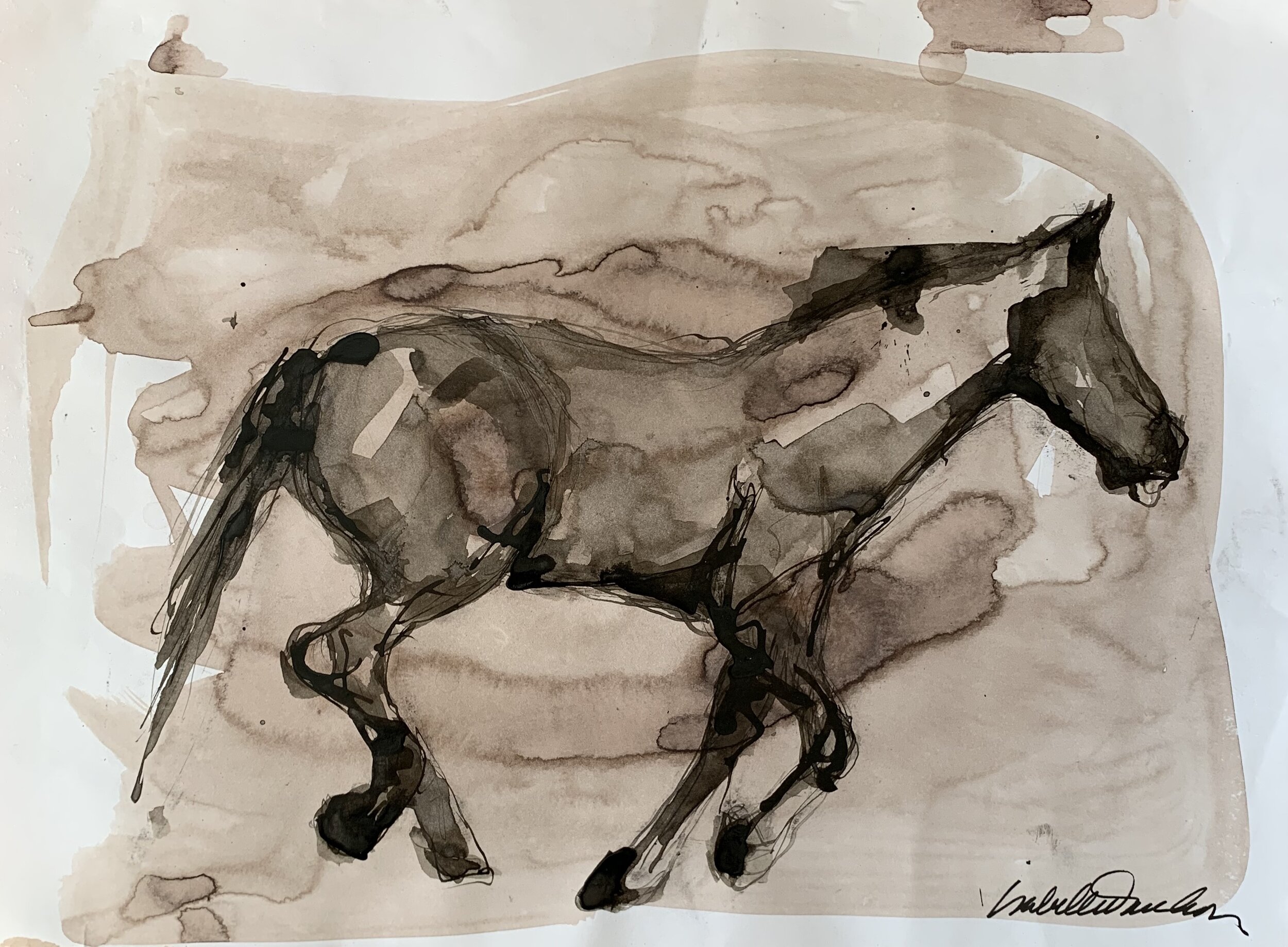 Study on Horse in Ink