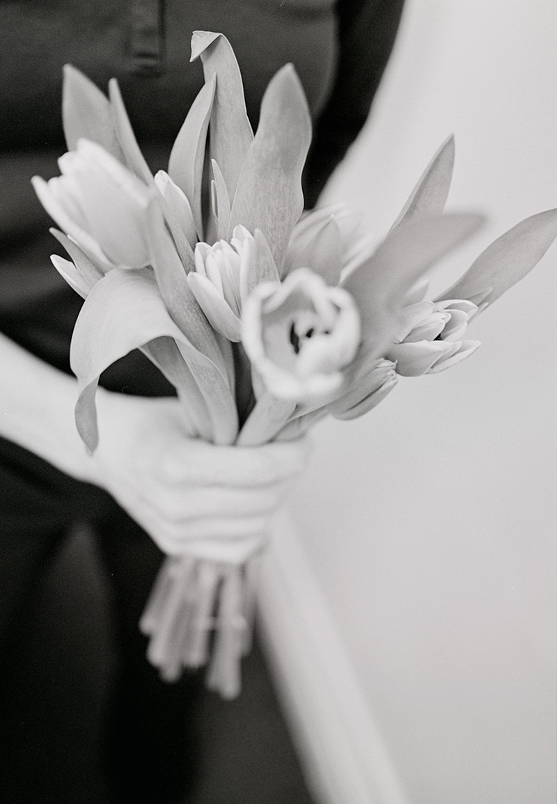photo © anja hitzenberger