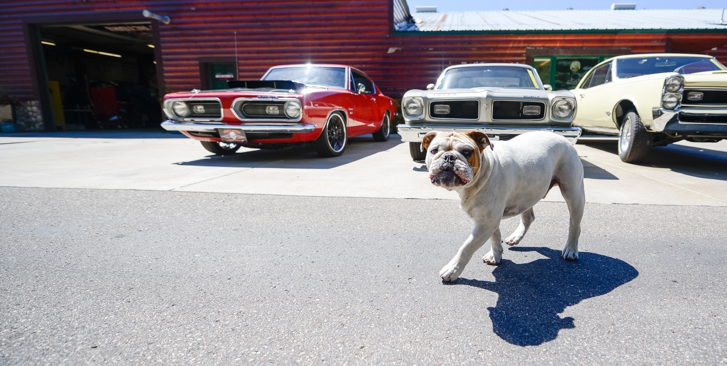 Shop-grounds-Hot-Rod-Factory-Bethel-MN-classic-car-mod-fabricator-photographer-Minneapolis-MN-July-12,-2016-www.jcoxphotography.com-12.jpg