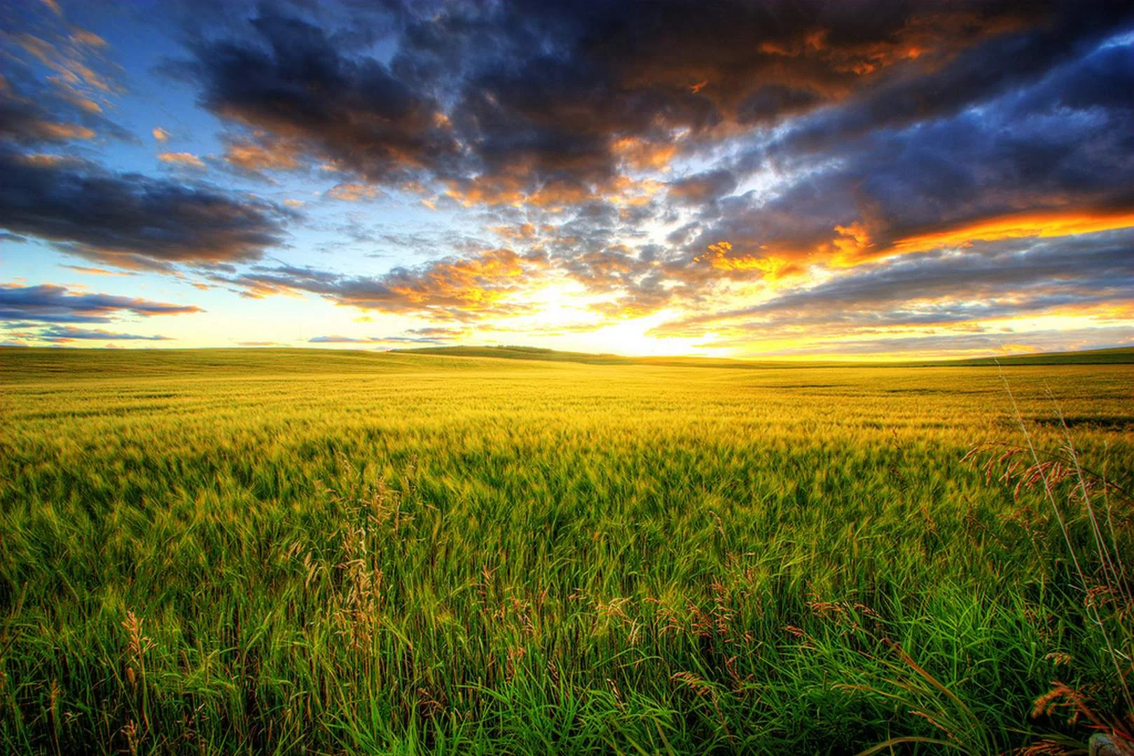 948621-prairie.jpg