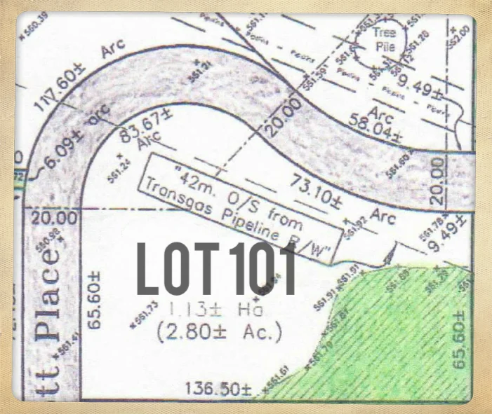 Lot # 101 from Site plan