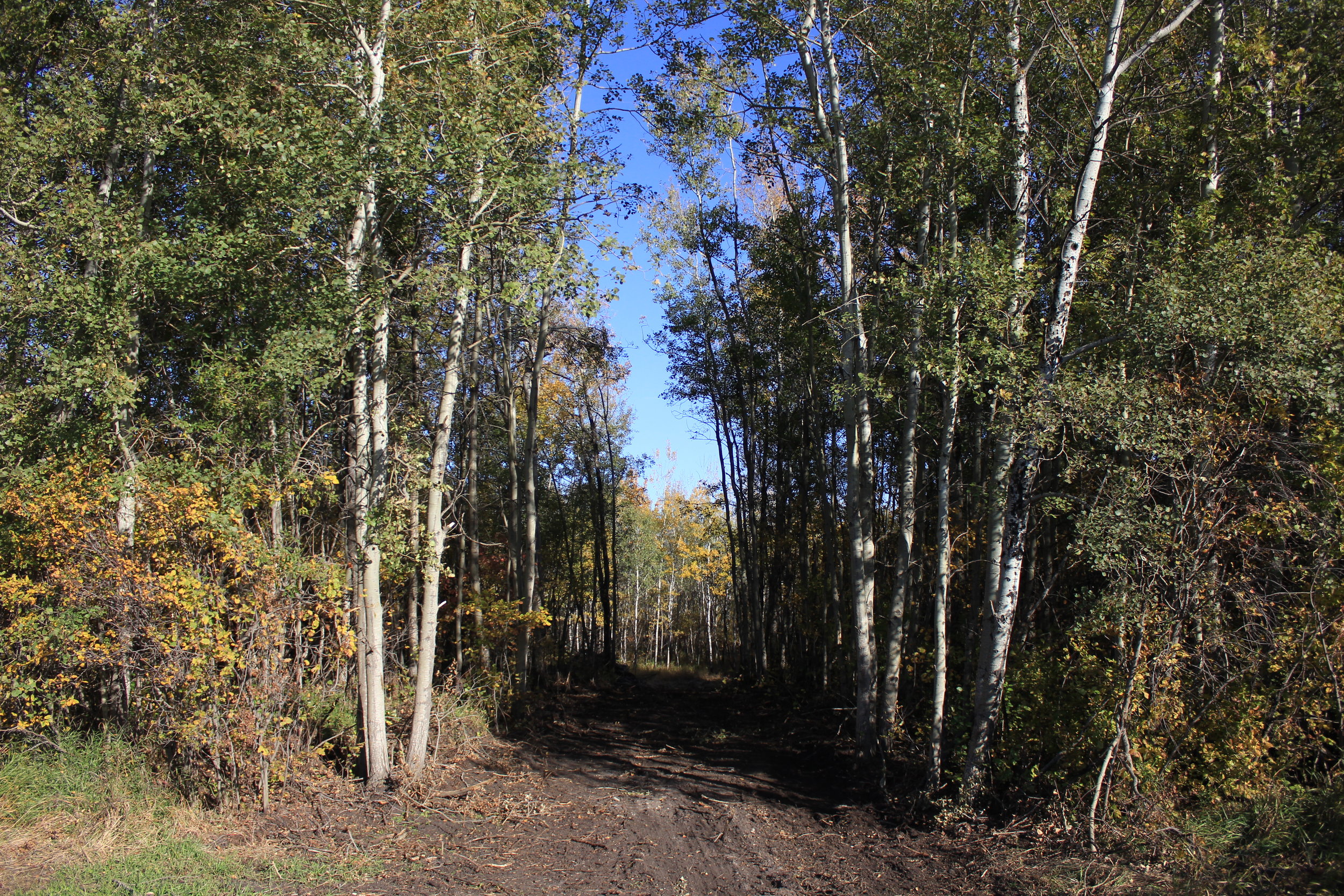 102-4 Opening to allow lanscaping of low area.JPG