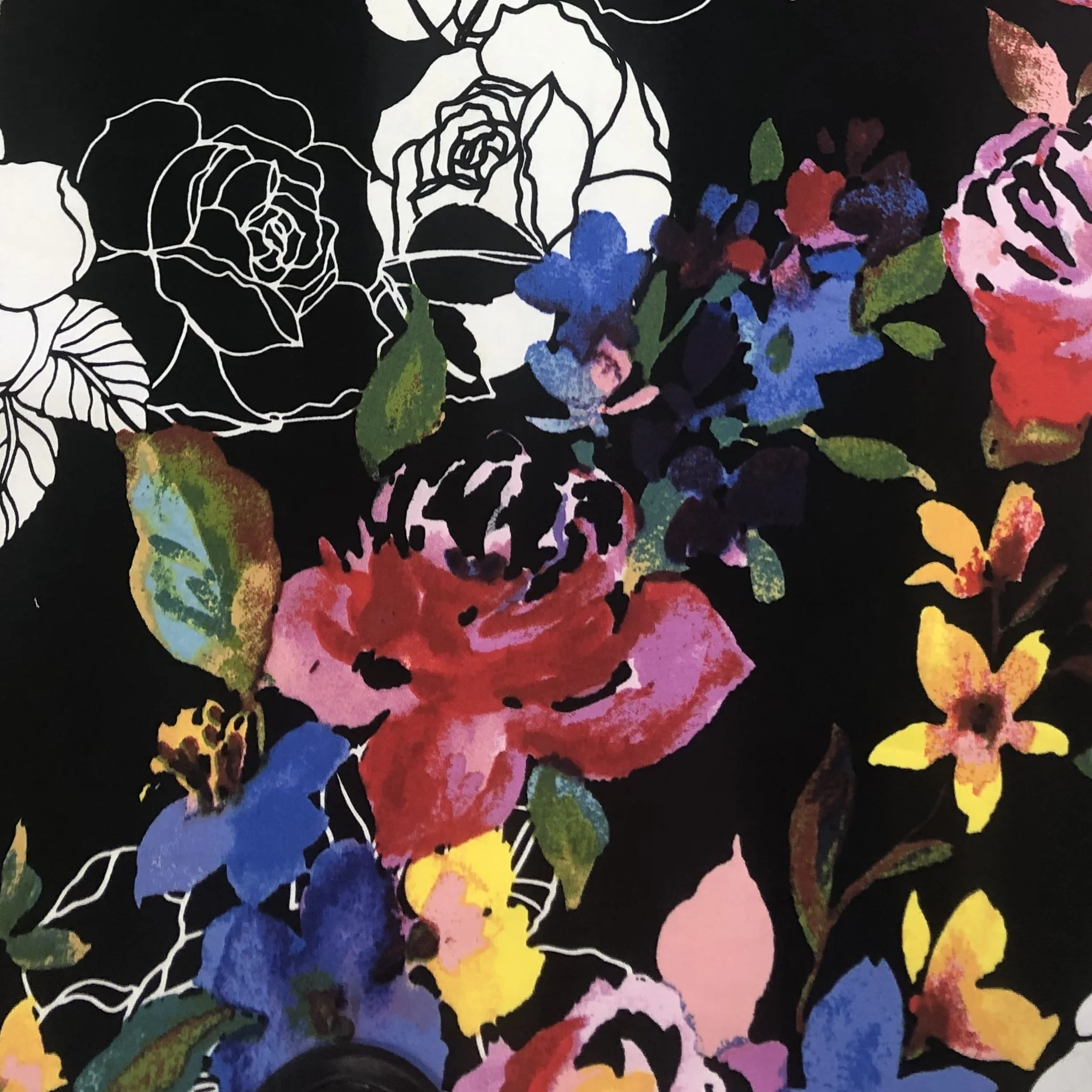 Penelope Red at Kirribilli Markets 8th September