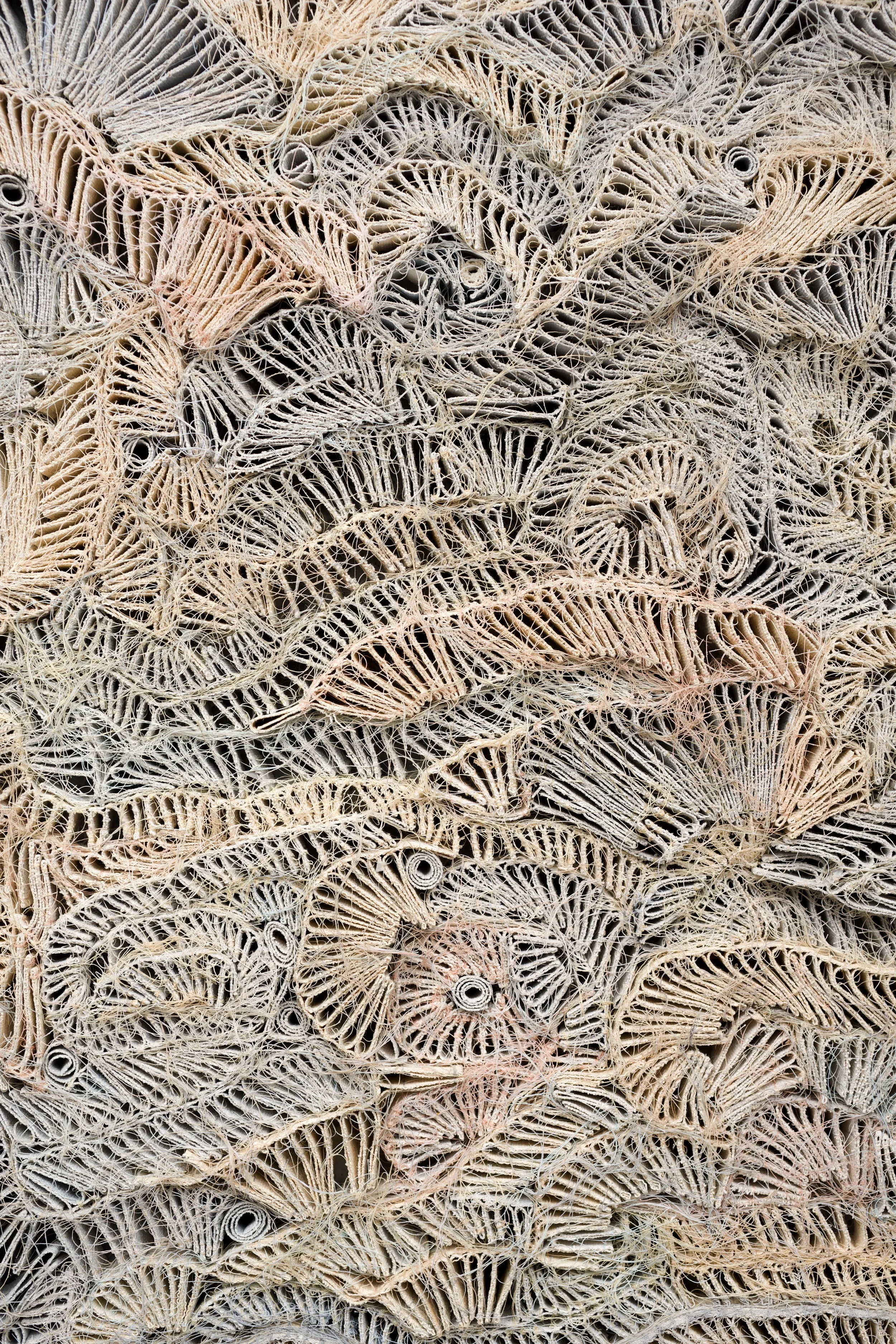Cellular Landscape (Puzzle) detail view