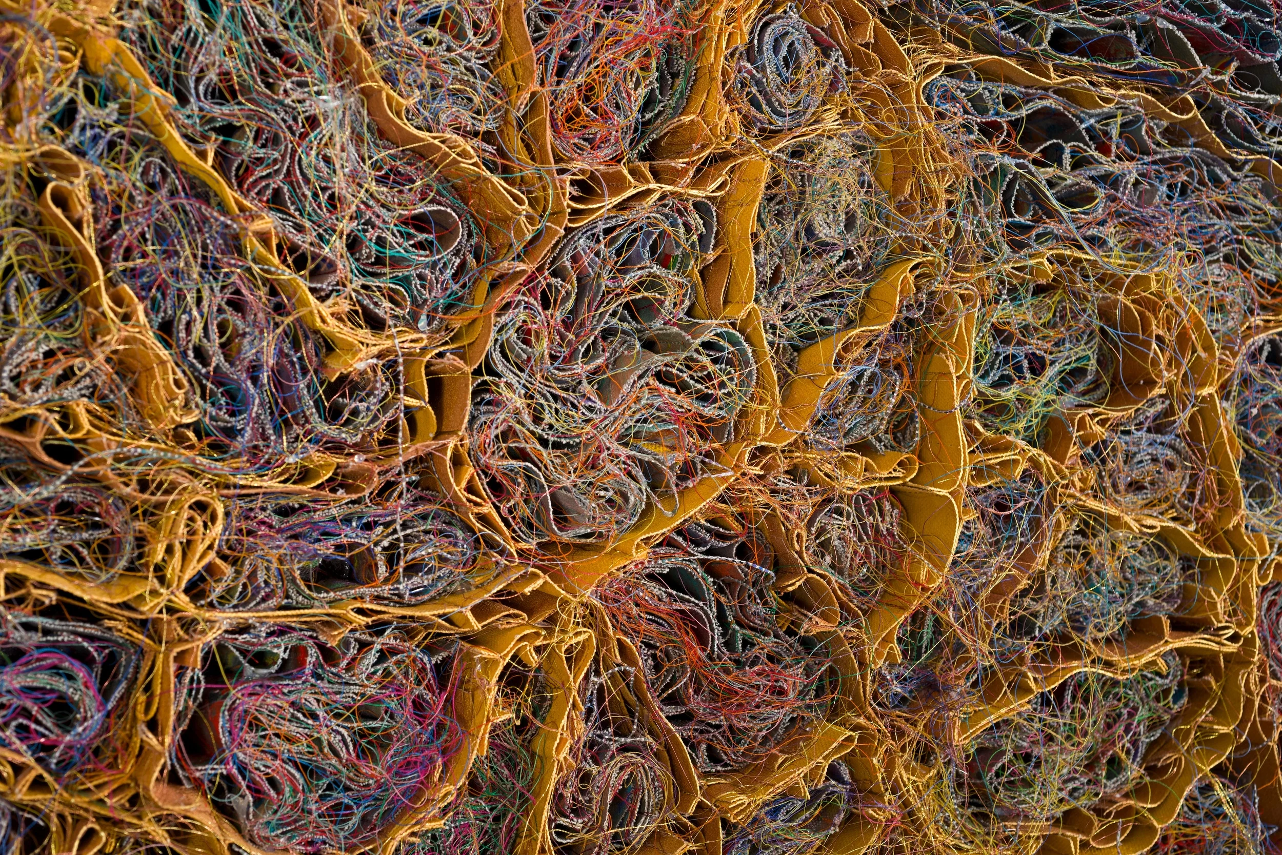   Circuitous Golden Pathway   detail view 