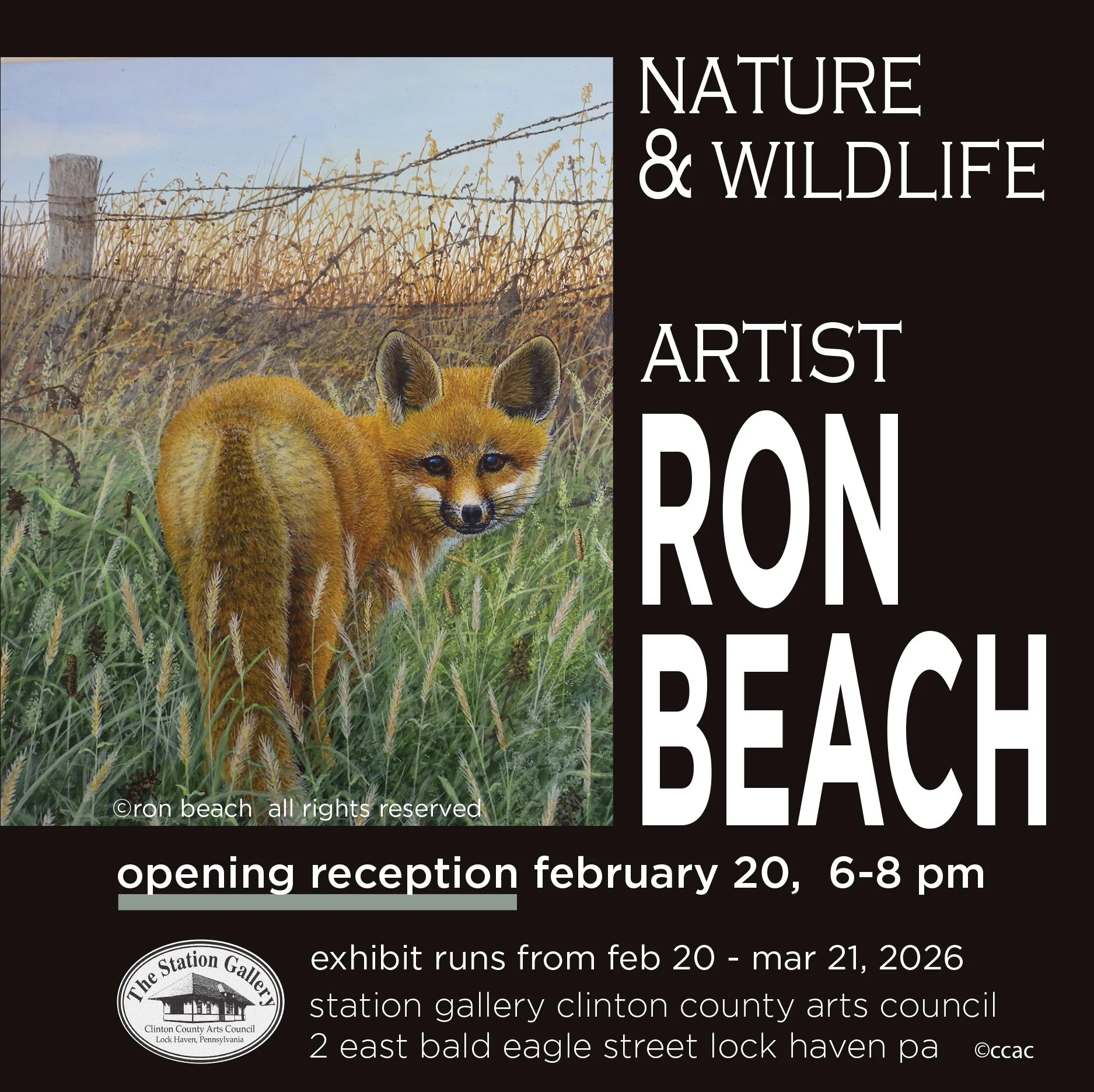 ron beach exhibit.jpg
