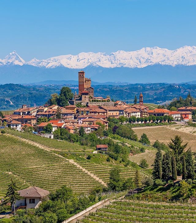 Wine Region Wednesday 🔦: Barbaresco! East of Alba, in the foothills of the Alps lies the Barbaresco DOCG. Originally made a DOC in 1966 the appellation was upgraded in 1980. These regal wines are made from 100% Nebbiolo and aged for a minimum of 26 