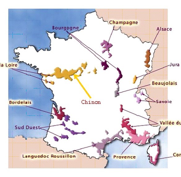 Wine Region Wednesday 🔦: Chinon! Located in the Touraine department within the Loire Valley, France. Chinon is famous for the lovely Cabernet Franc grape. Marked by tart red fruit and green peppers with great acid and tannin. The confluence of Loire