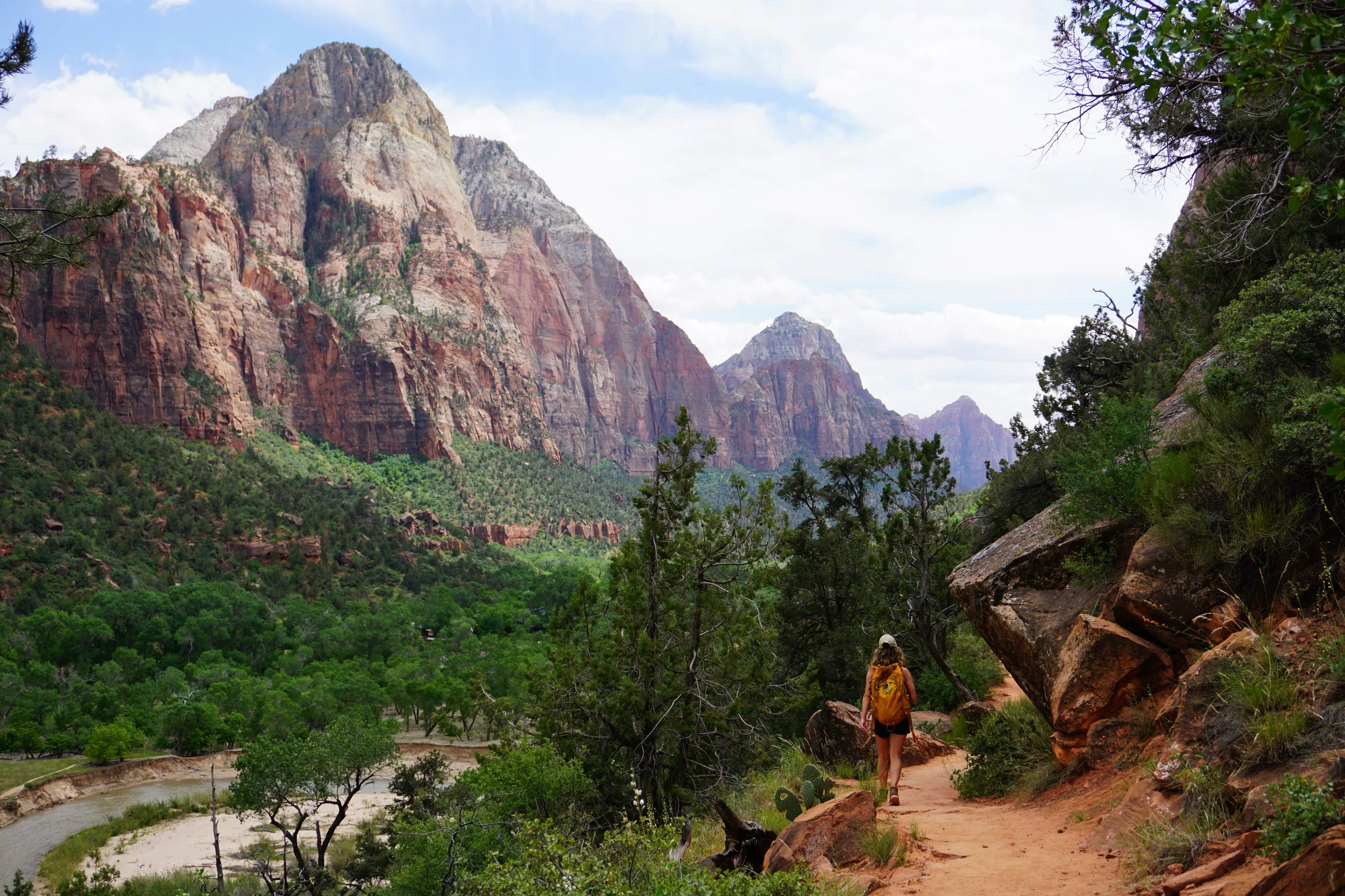 Above : Zion National Park
