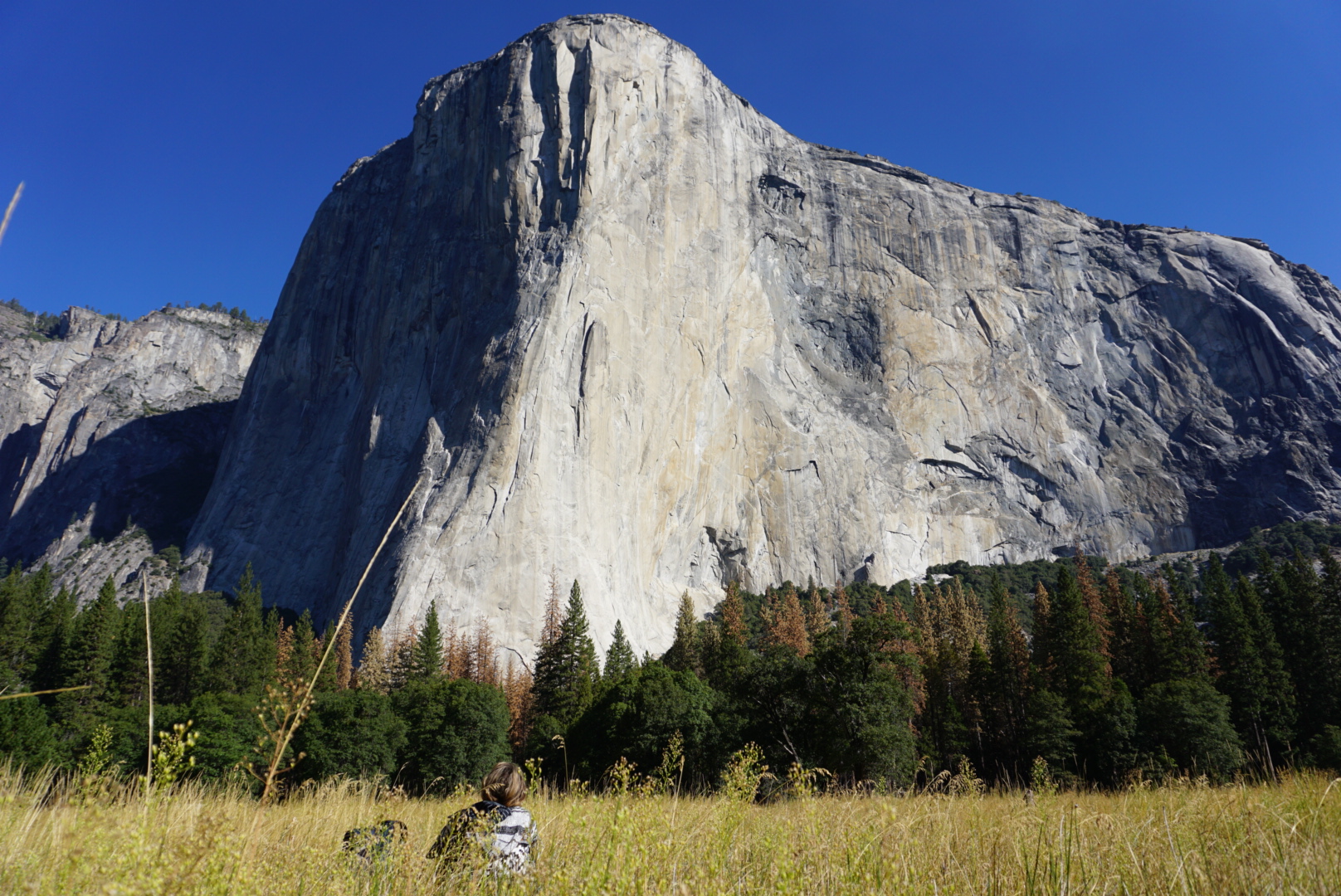 Above : Yosemite National Park