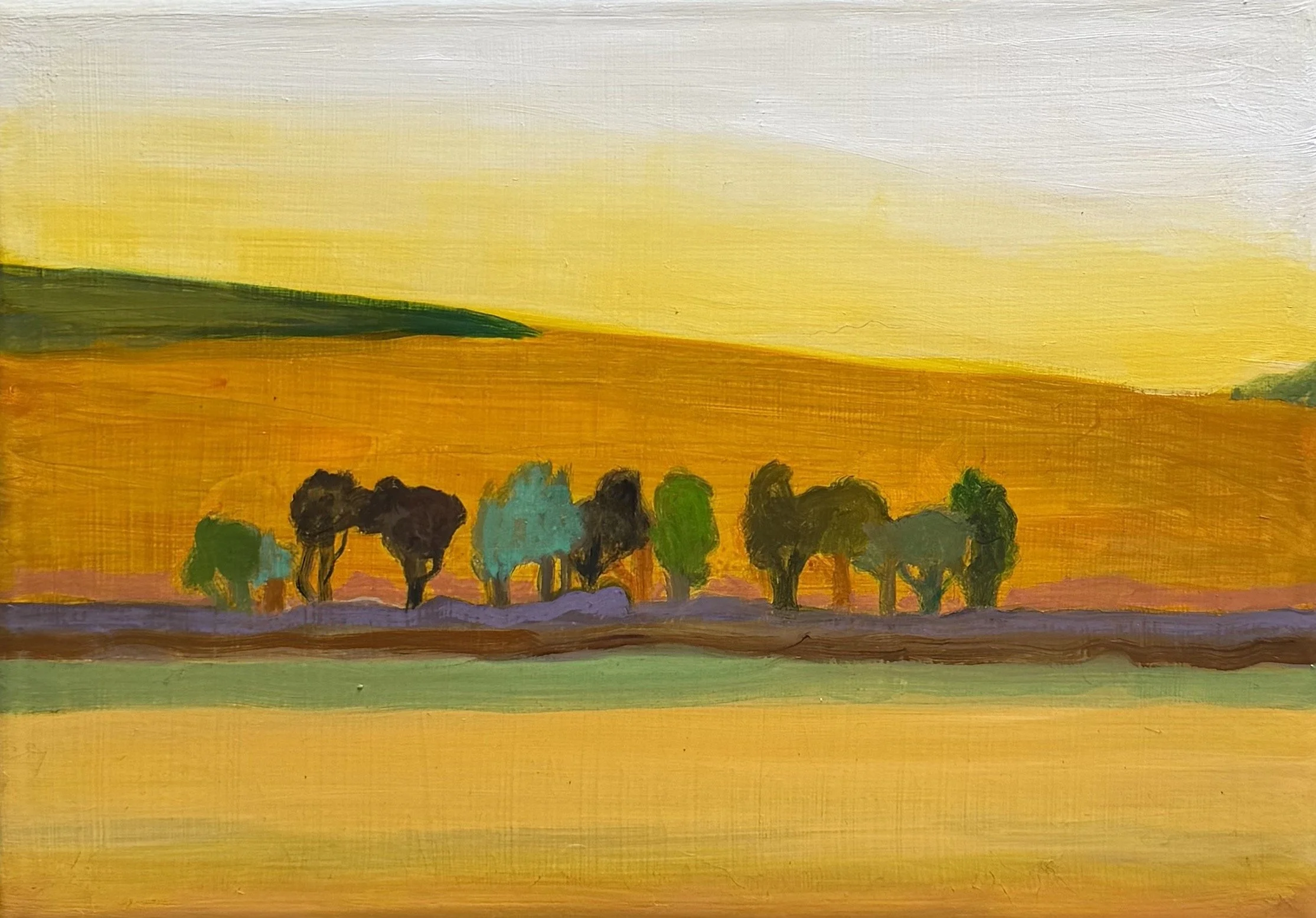 Point Reyes Tree Line.jpeg