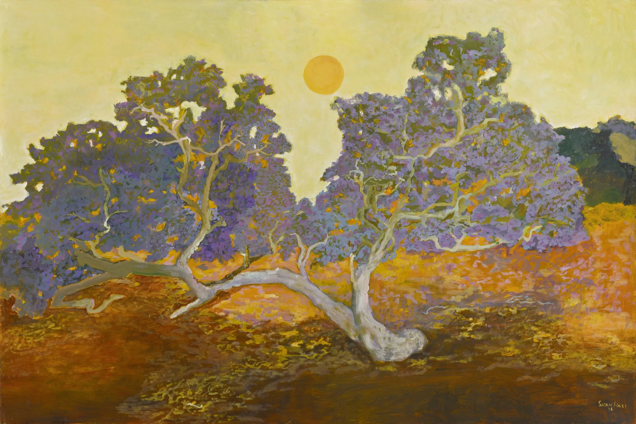 Two Trees One Trunk.jpg