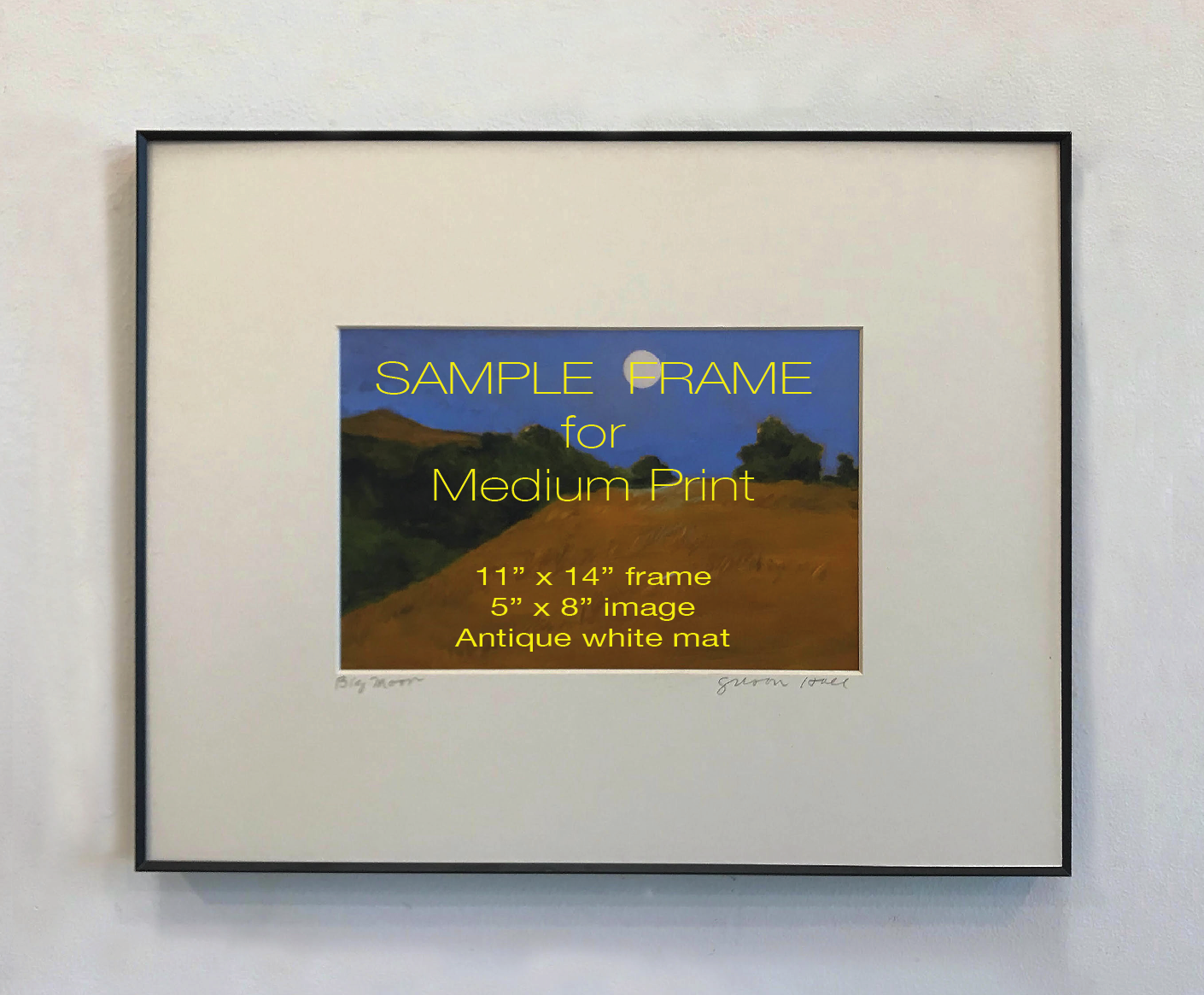 sample medium print.png