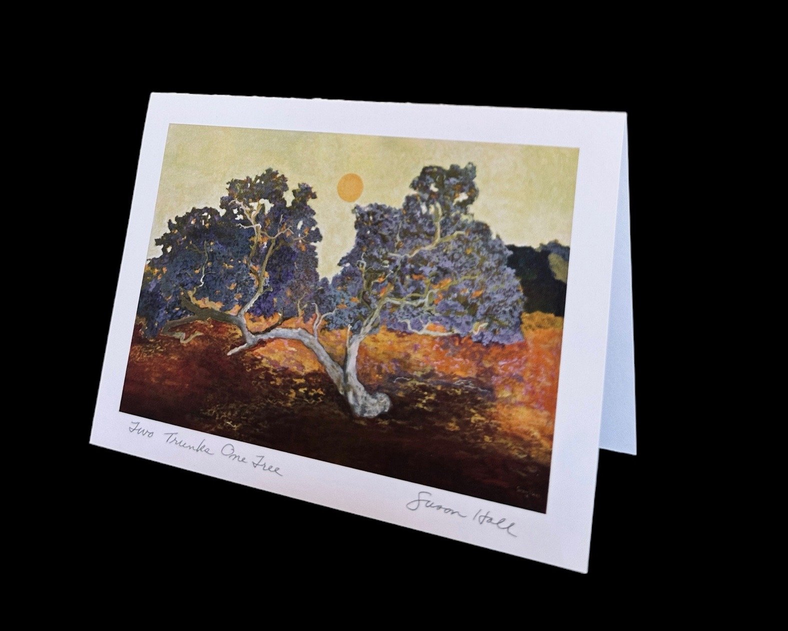 "Two Trunks One Tree"