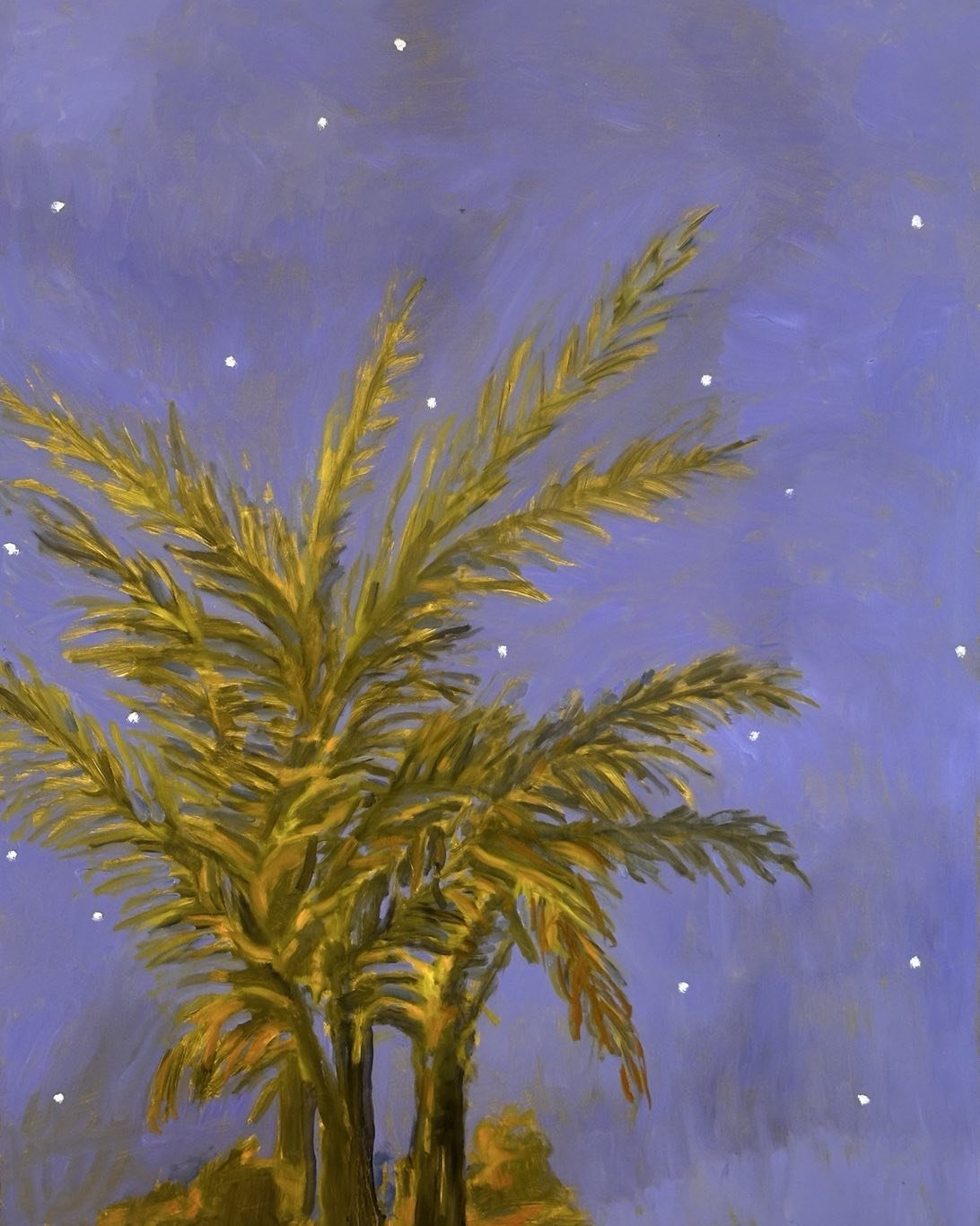 Palm trees and stars