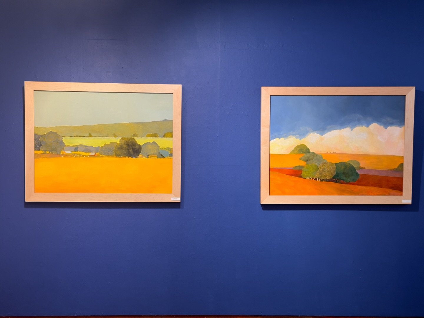 Some photos from my current show at Toby&rsquo;s in Point Reyes Station. A few paintings and a number of ceramics have sold. Join me on November 29 from 3-5pm for my reception. 
.
Will I see you at my reception?