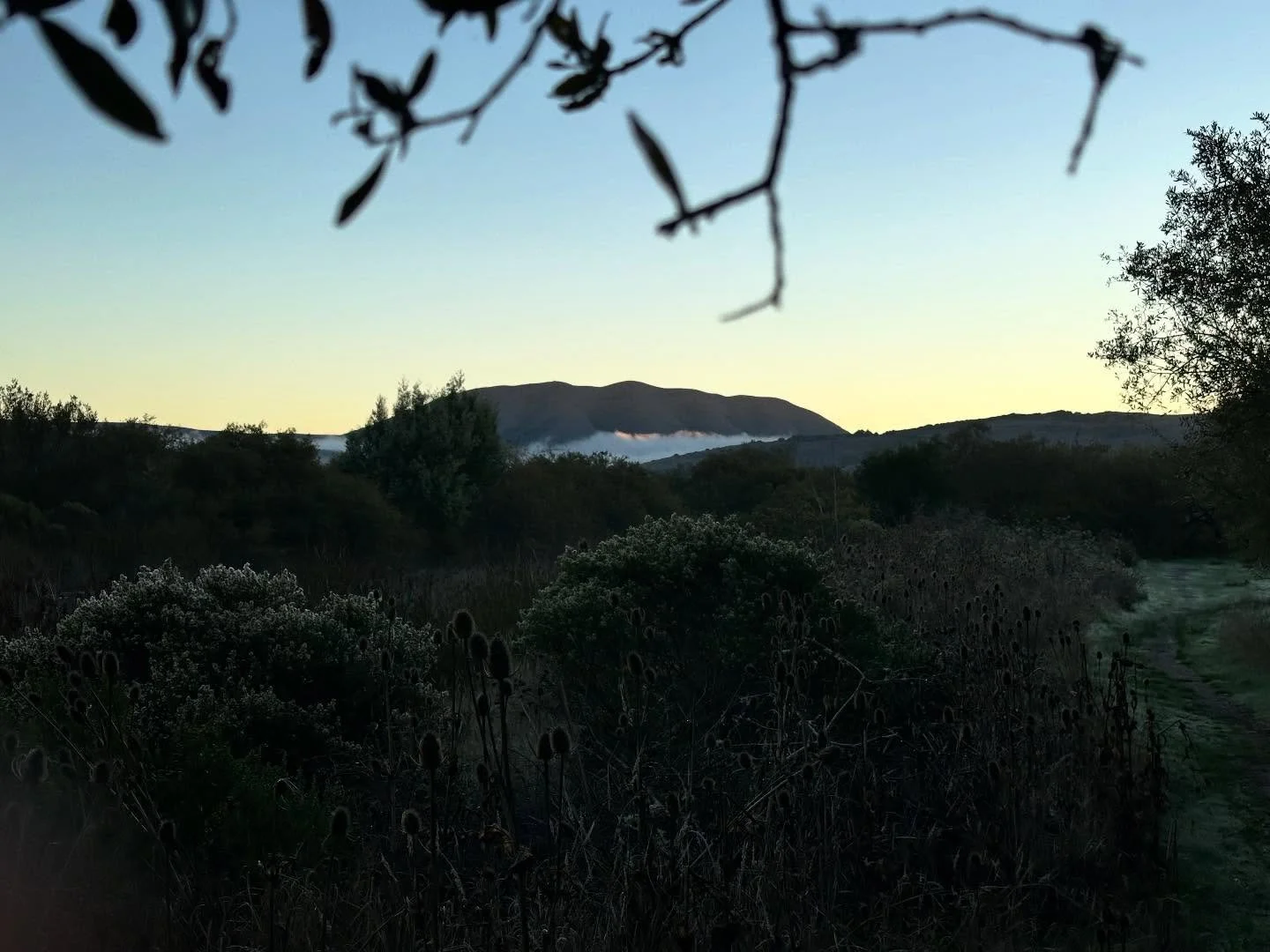 End of Winter
Dark with a flick of light.