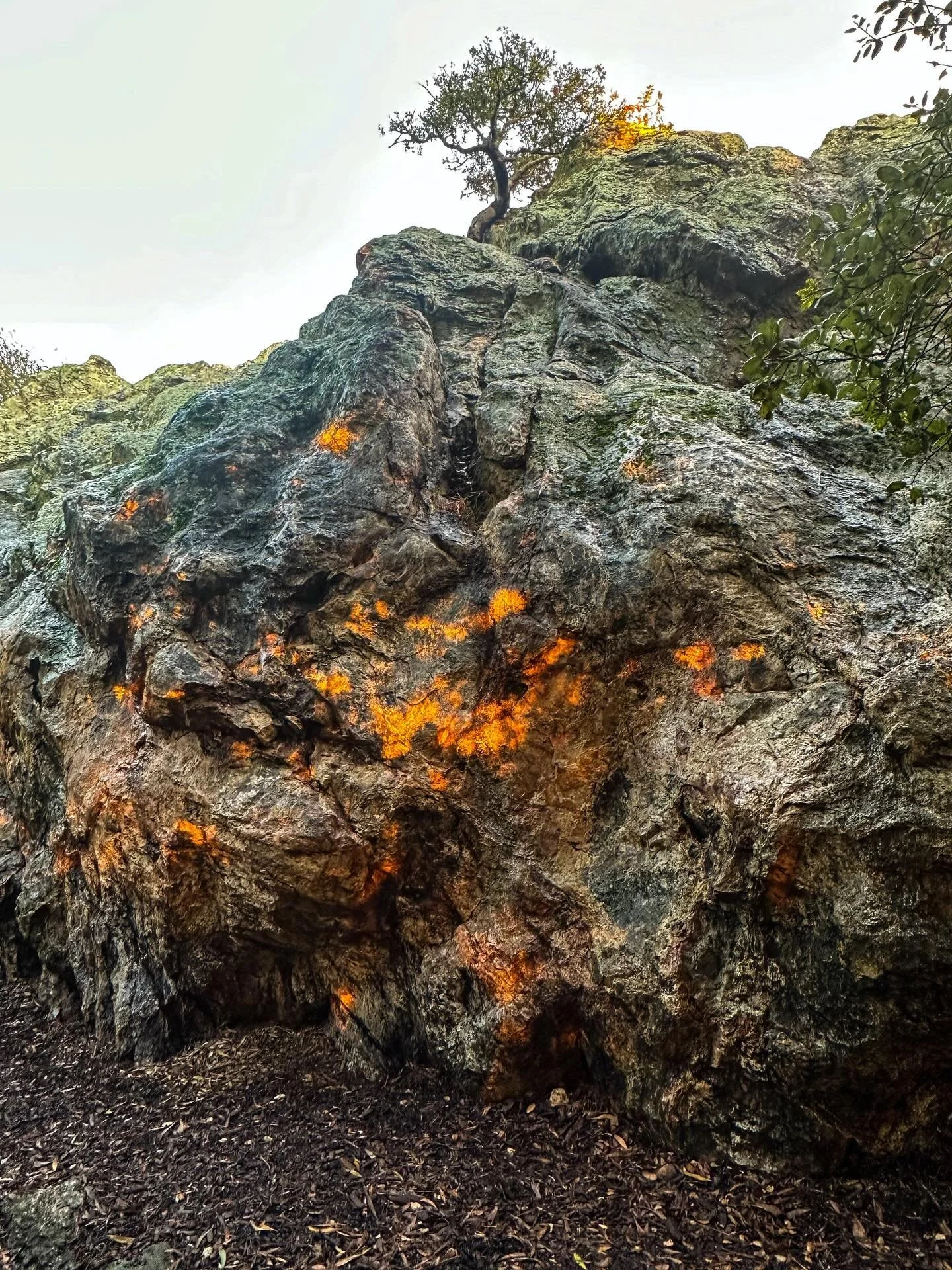 Indian Rock sundown in Berkeley,
Last days of 2025.