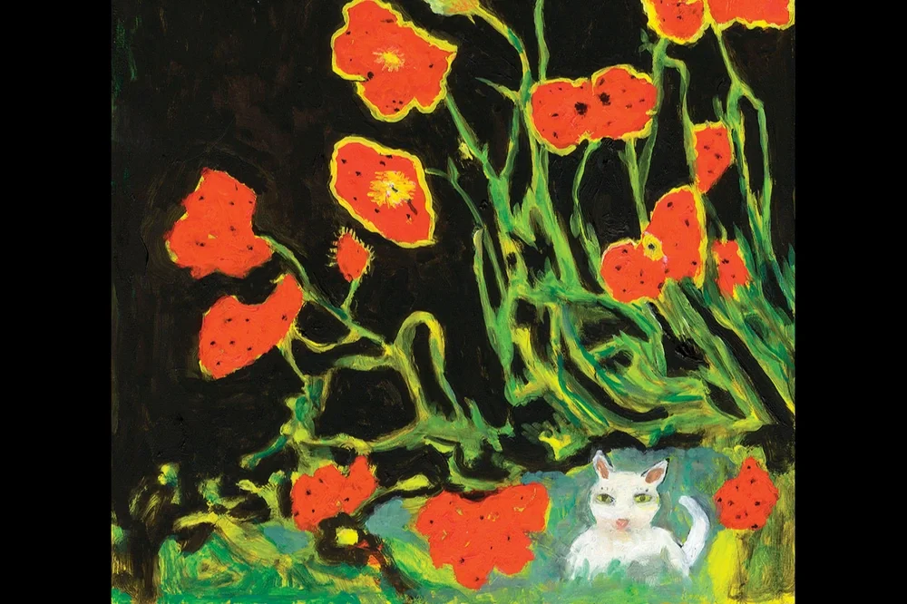 Cat in the Poppies