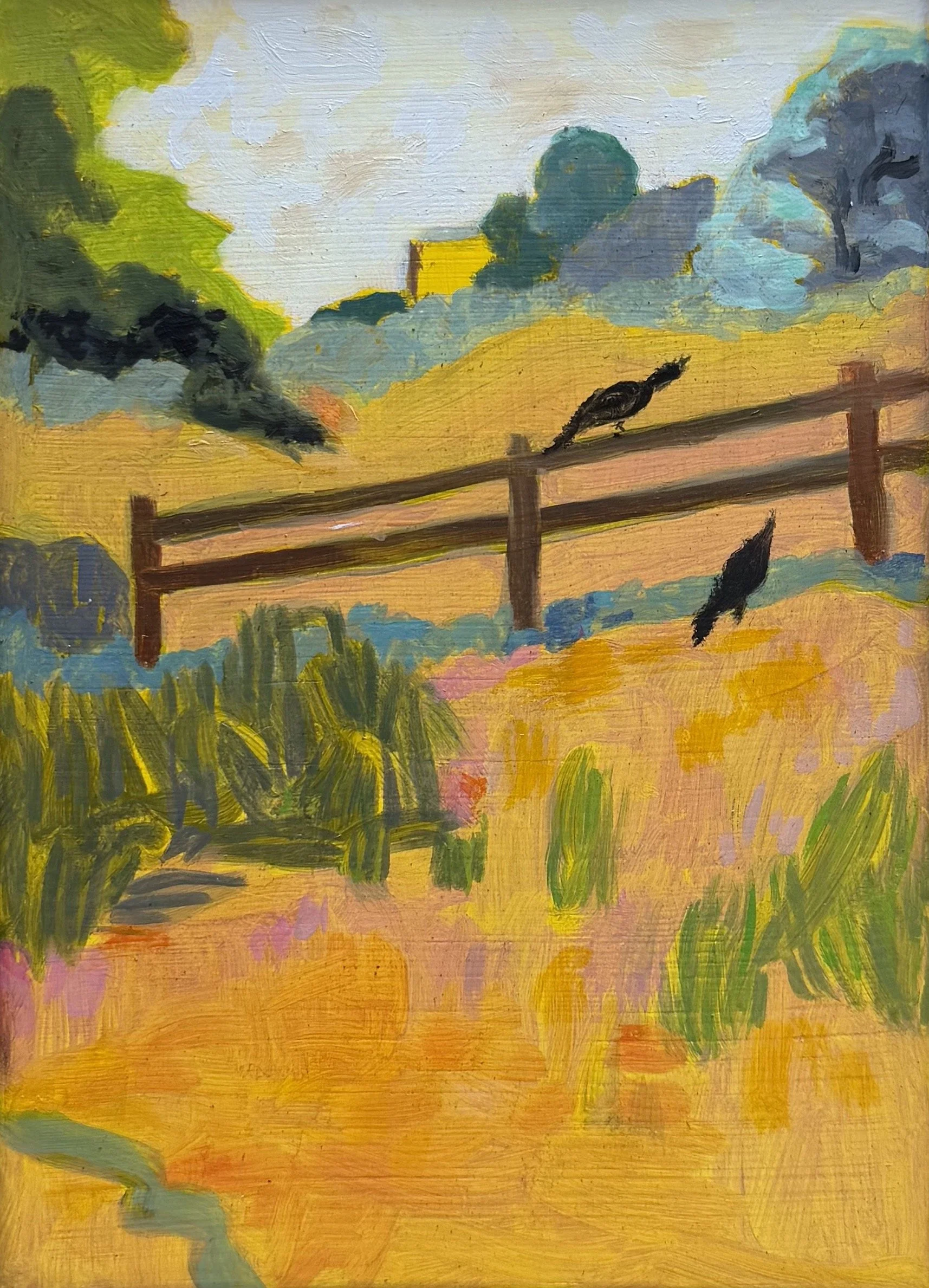 Crows & The Fence.jpeg