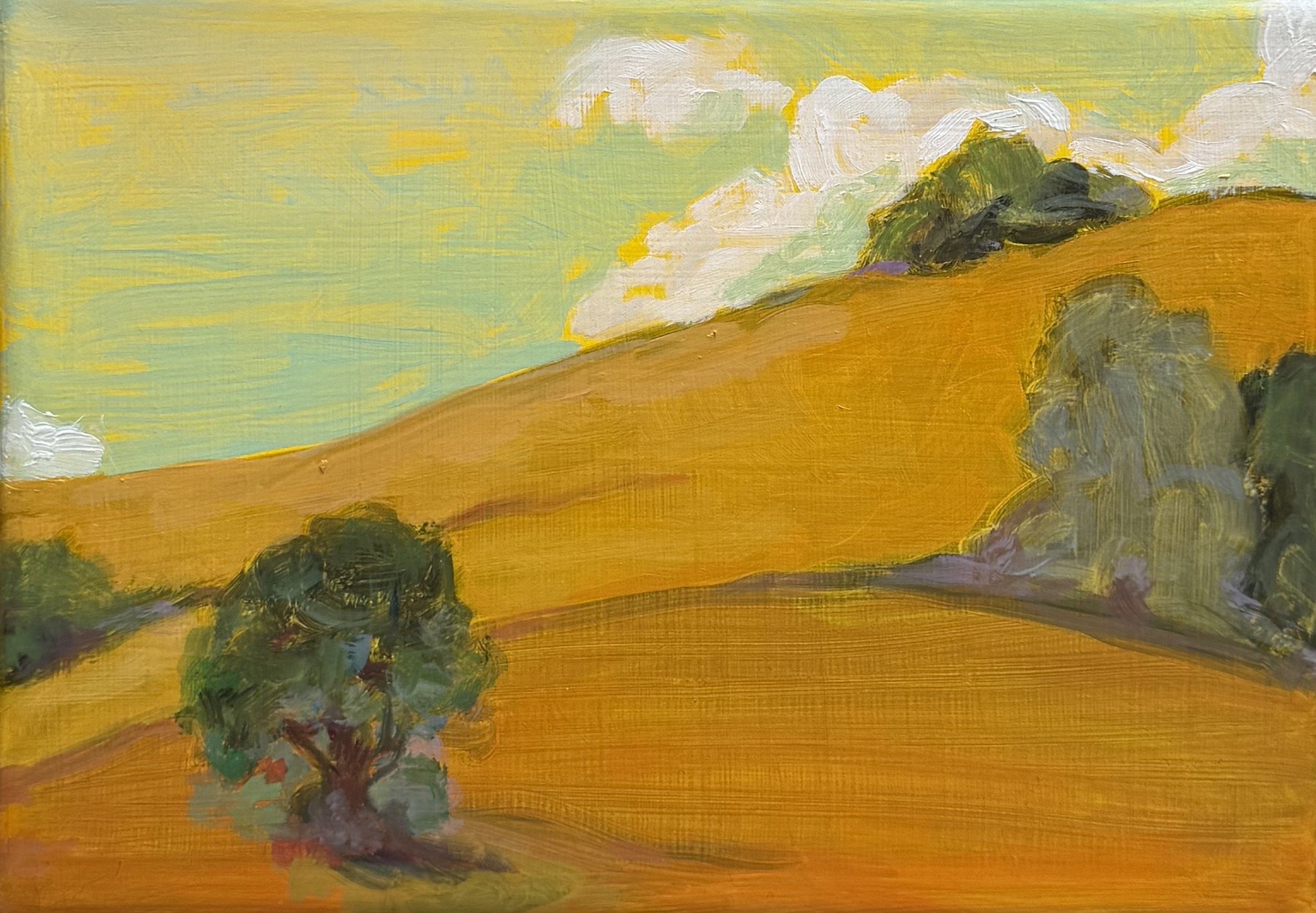 Point Reyes Hills