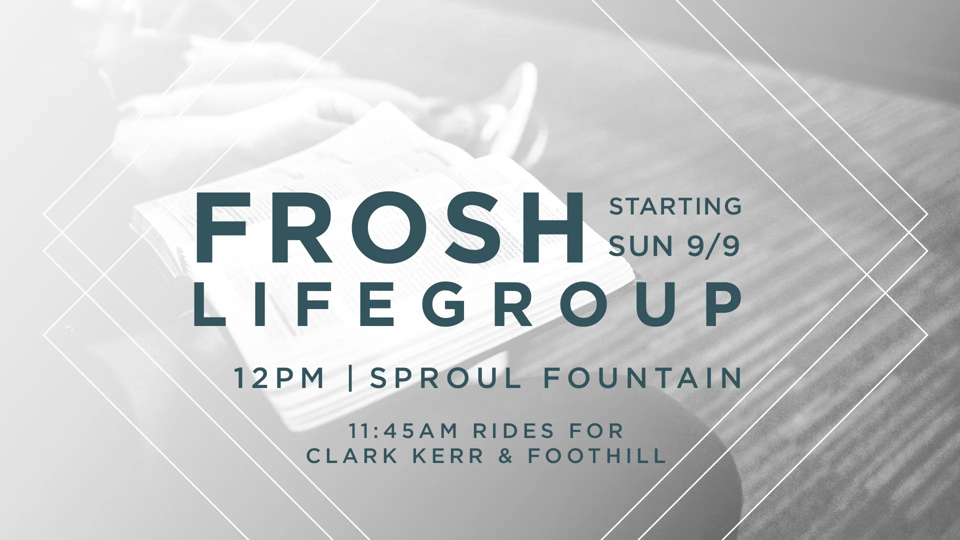 FroshLifegroup_20180909_splash.jpg