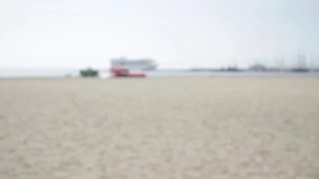 Show Me What You Love