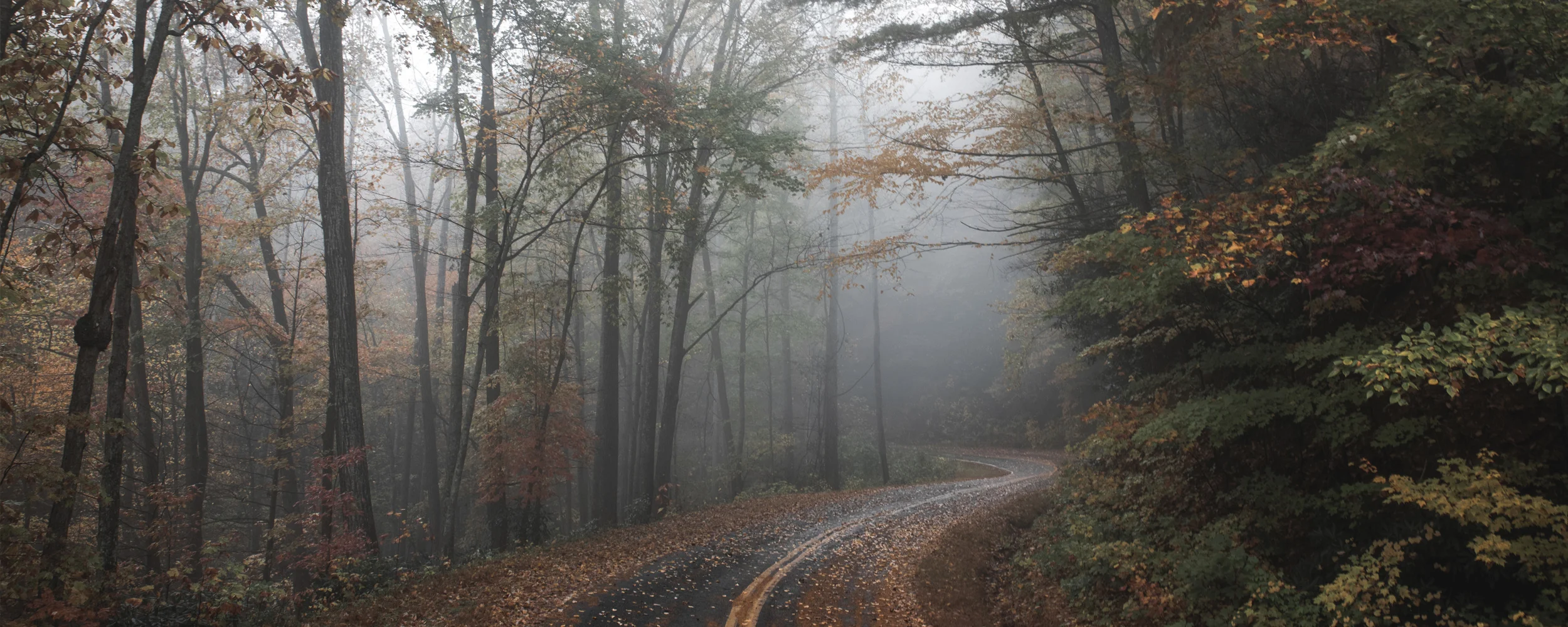 THE PURSUIT - Fredericksburg