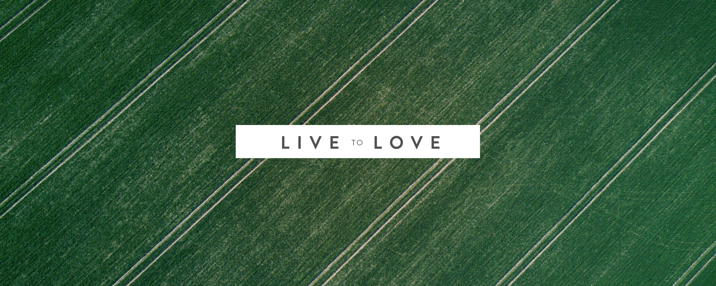 Live to Love - Springfield, MO