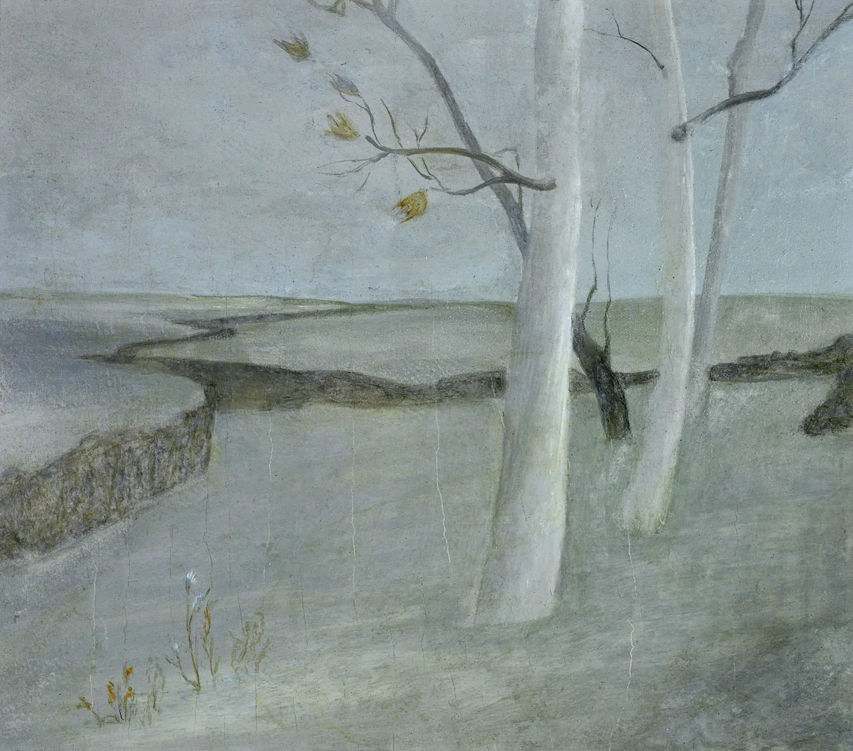 White Trees