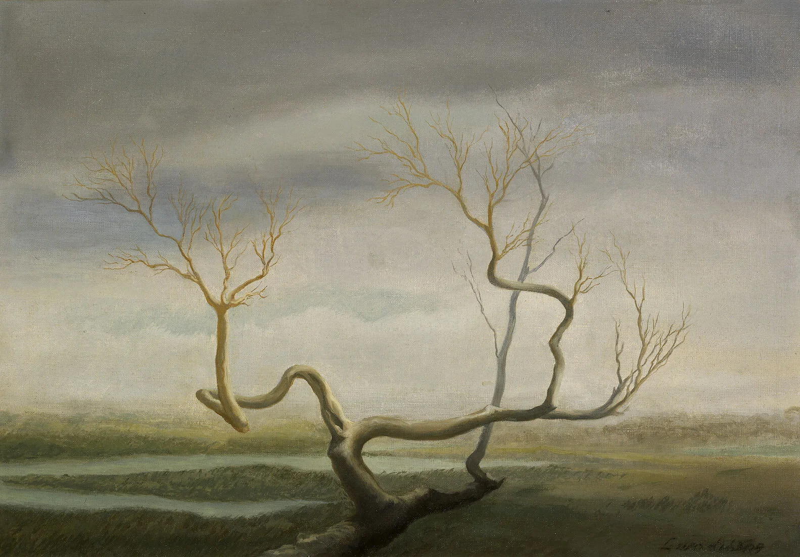 Tree on the Marsh , 1948 oil on canvas 14 x 20 inches; 35.6 x 50.8 centimeters
