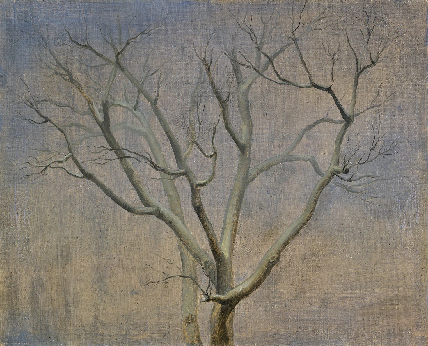 The Tree , 1948 oil on canvas 16 x 20 inches; 40.6 x 50.8 centimeters