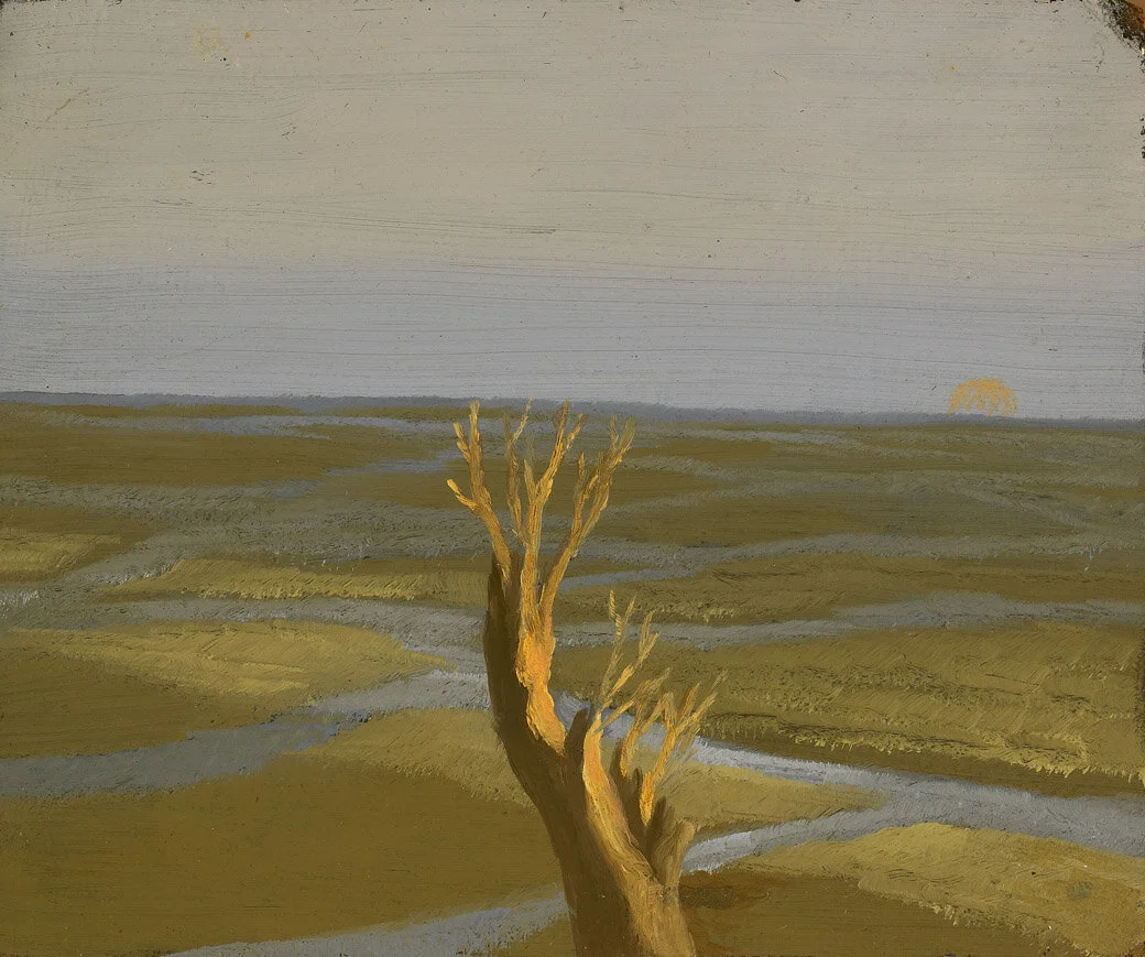 The Marshes , 1950