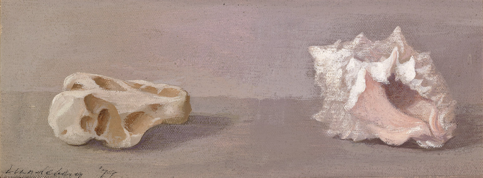 Shell and Rock , 1979 acrylic on canvas 8 x 15 inches; 20.3 x 38.1 centimeters