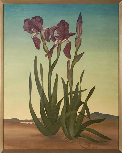 Irises (The Sentinels) , 1936 oil on canvas 30 × 25 inches; 76.2 x 63.5 centimeters The Huntington Library, Art Museum, and Botanical Gardens