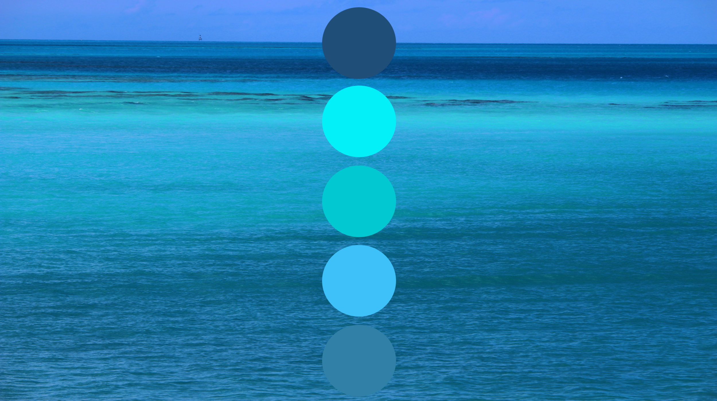 Screen Shot 2019-01-25 at 10.57.54 PM.png