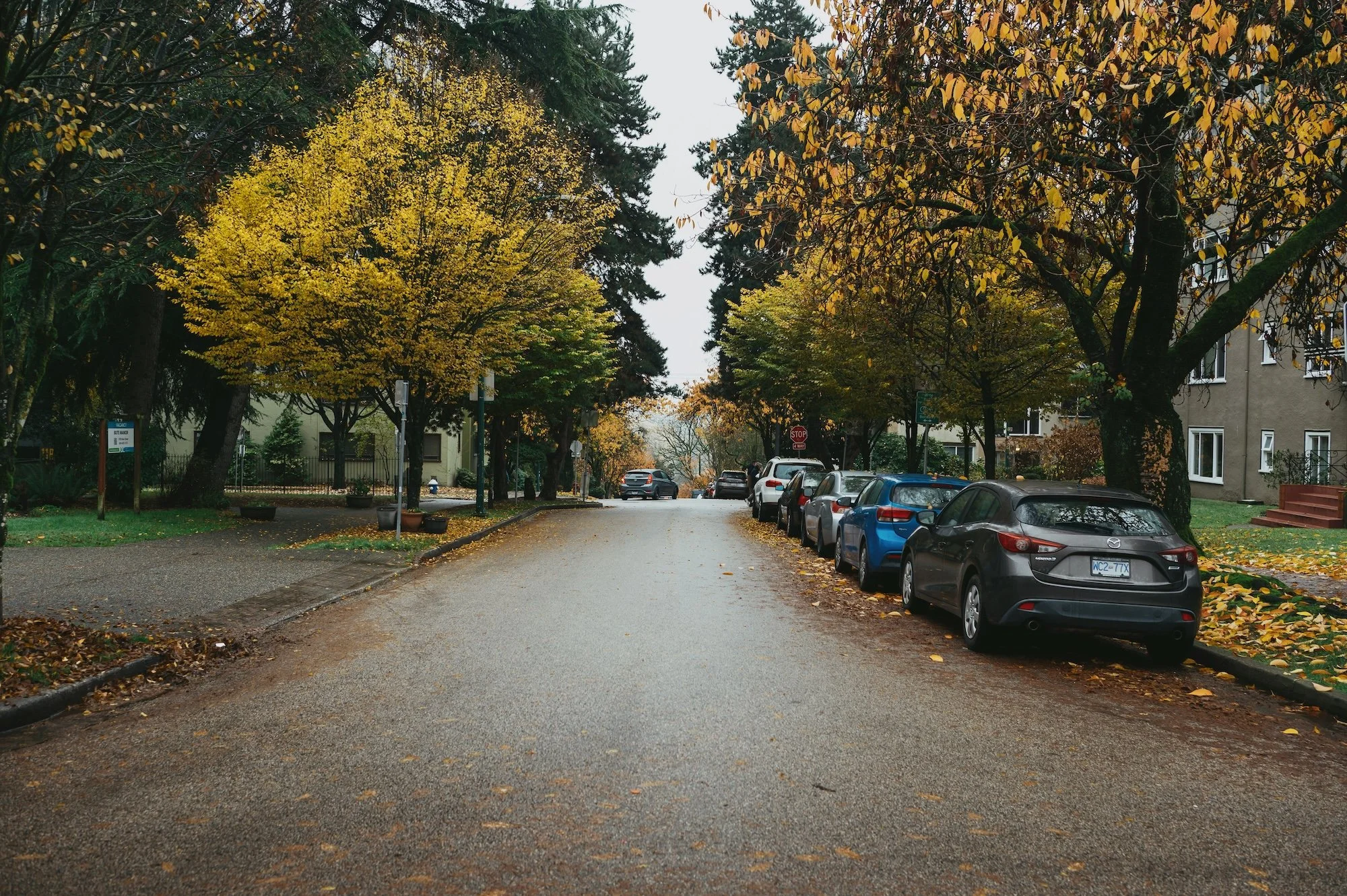 albert-stoynov-BpKD_OR-_0Q-unsplash.jpg
