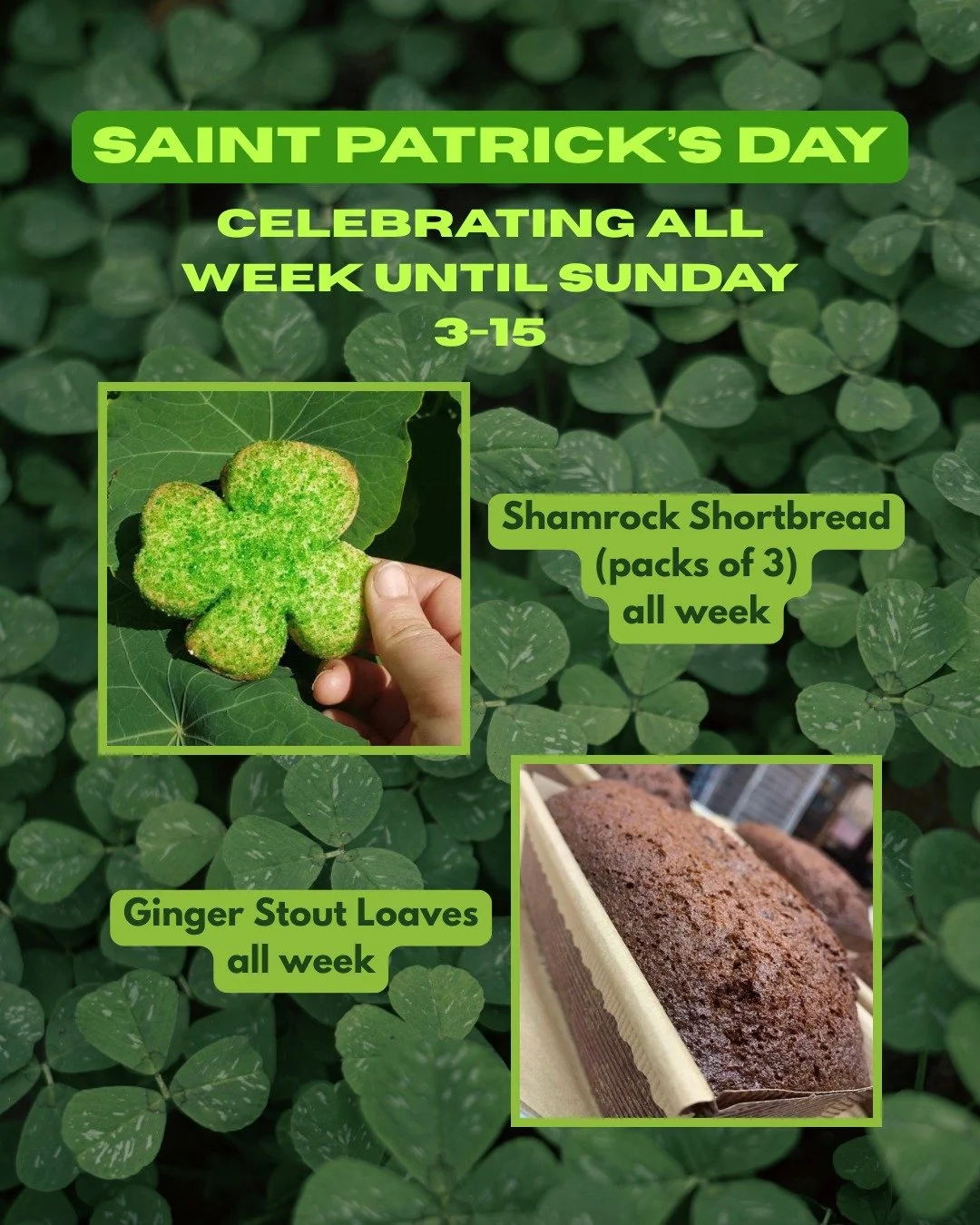 We are celebrating Saint Patrick's Day all this week with: 3-packs of Shamrock Shortbread (all week), Ginger Stout Loaves (all week), Irish Soda Scones (Fri/Sat/Sun), and Irish Soda Bread (Sunday only).

#bakery #arizmendi #stpatricksday #Emeryville