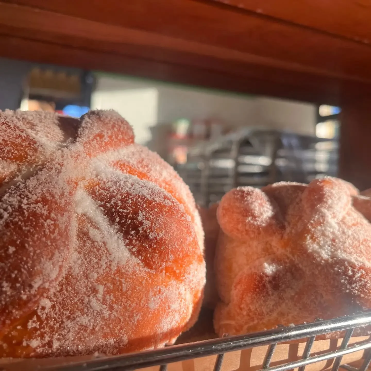 Pan de Muerto is on shelves all week! Rich brioche with aniseed rolled in orange sugar. It goes FAST! Get here early to make sure you get some. We have regular size rolls and JUMBO rolls.