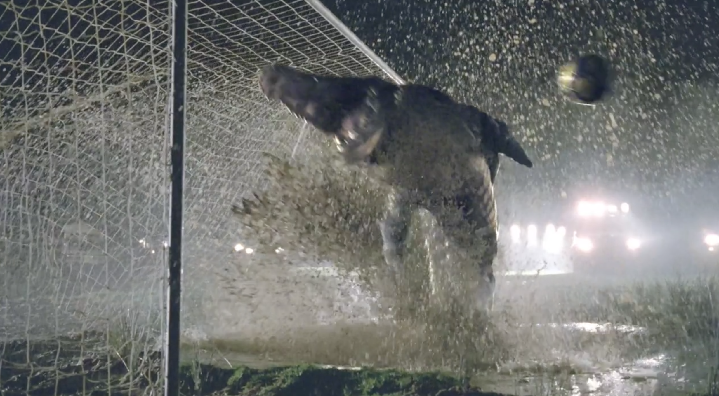 Secret Training Camp