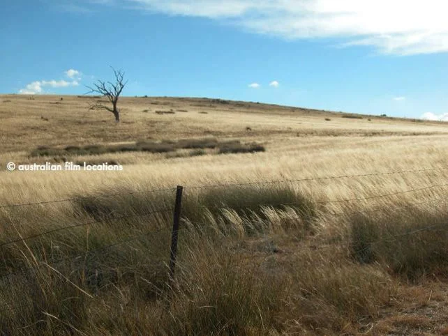 CTC0013_038.jpg
