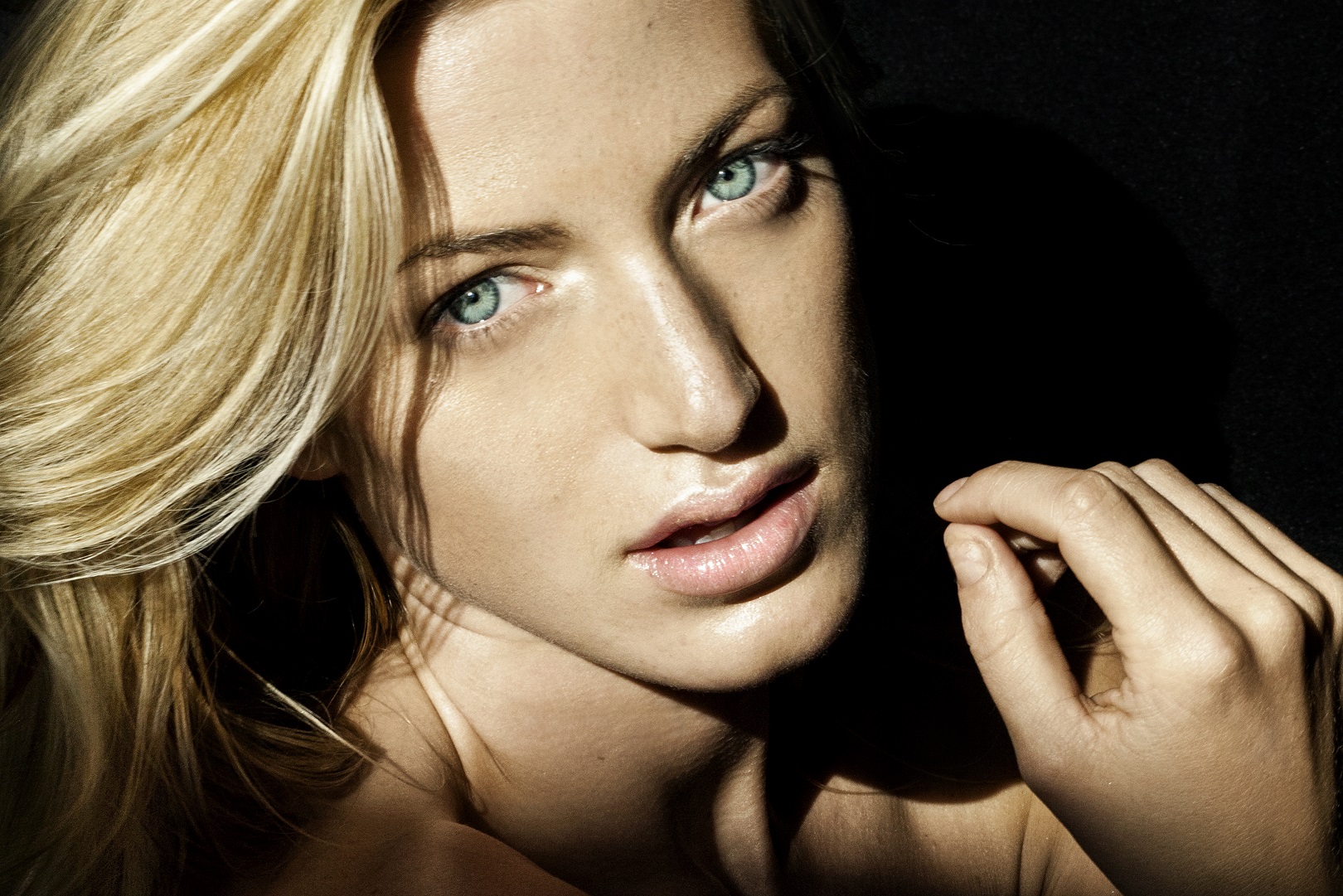 IMG_0916-218x12crop.jpg