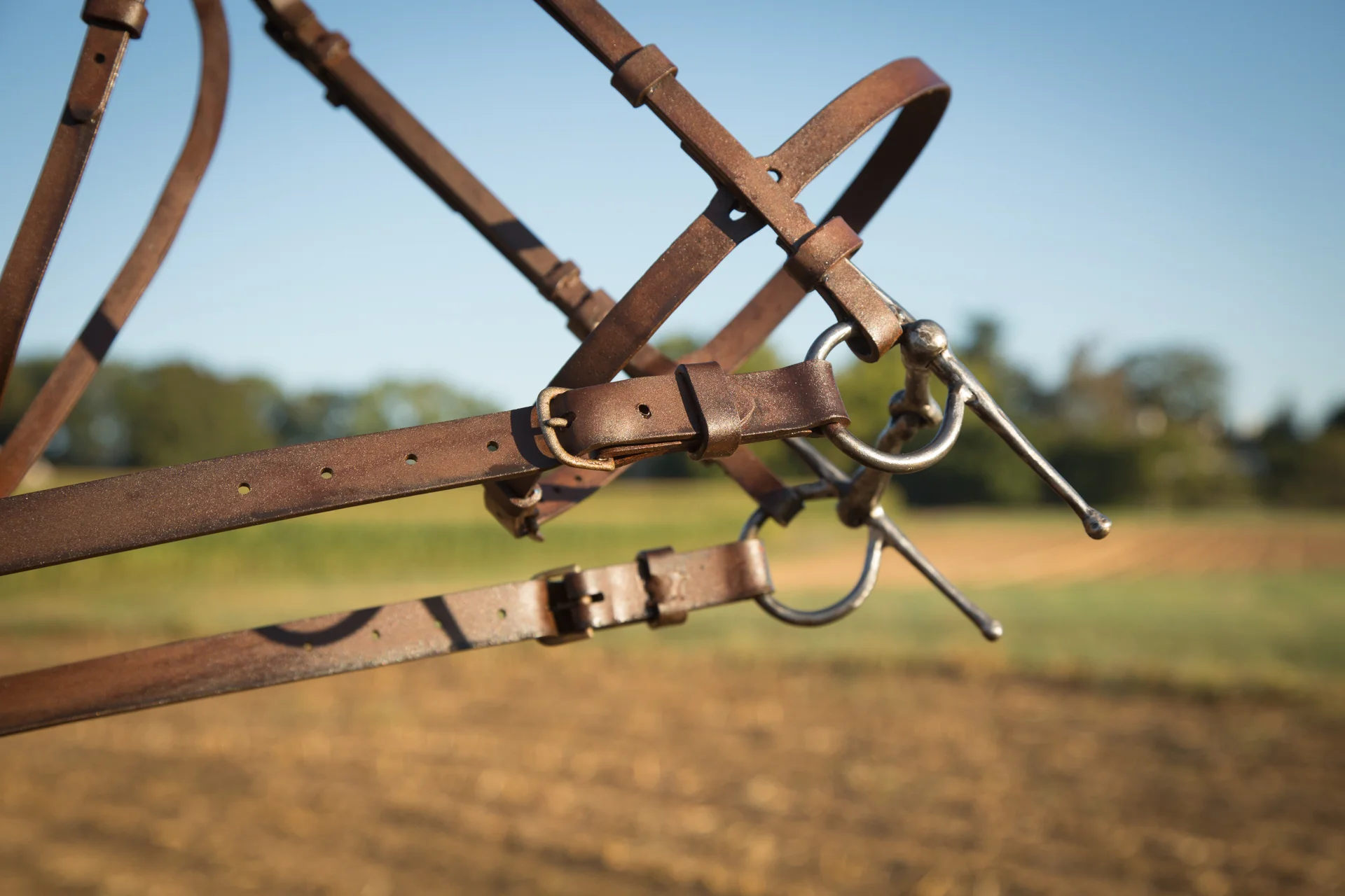 "No Hoof, No Horse". Forged steel