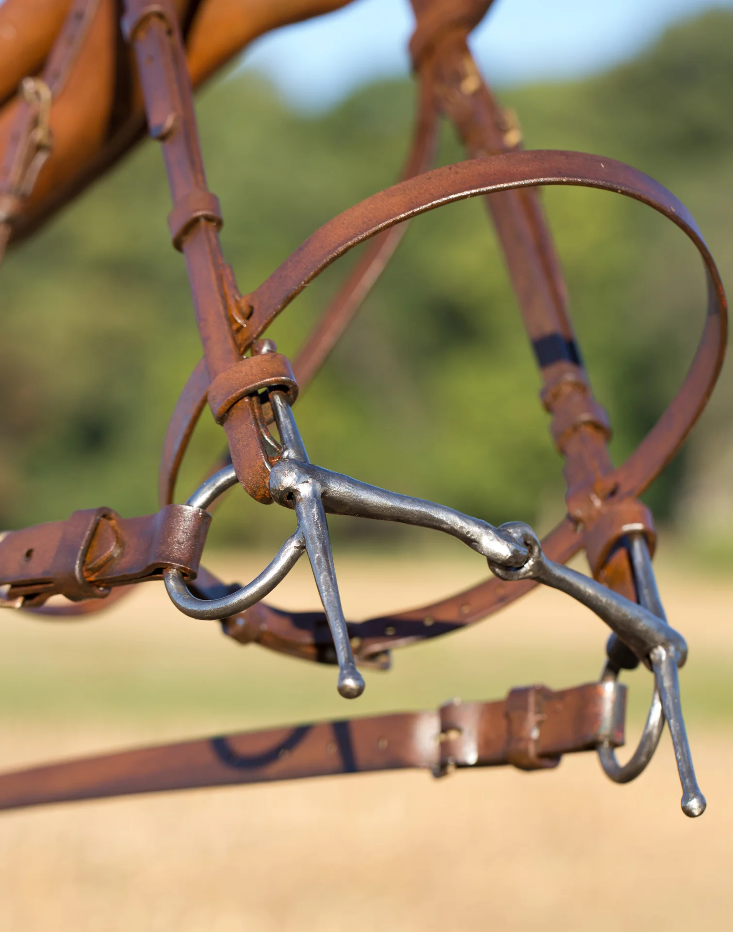"No Hoof, No Horse". Forged steel