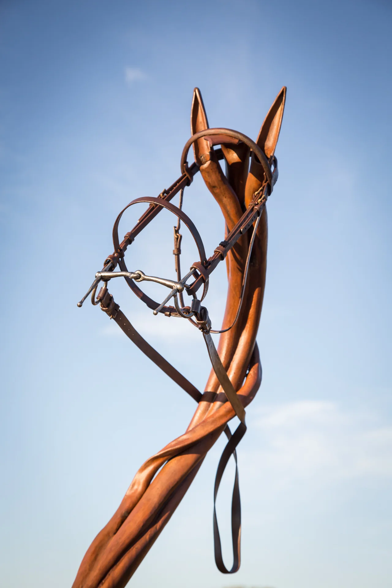 "No Hoof, No Horse". Forged steel