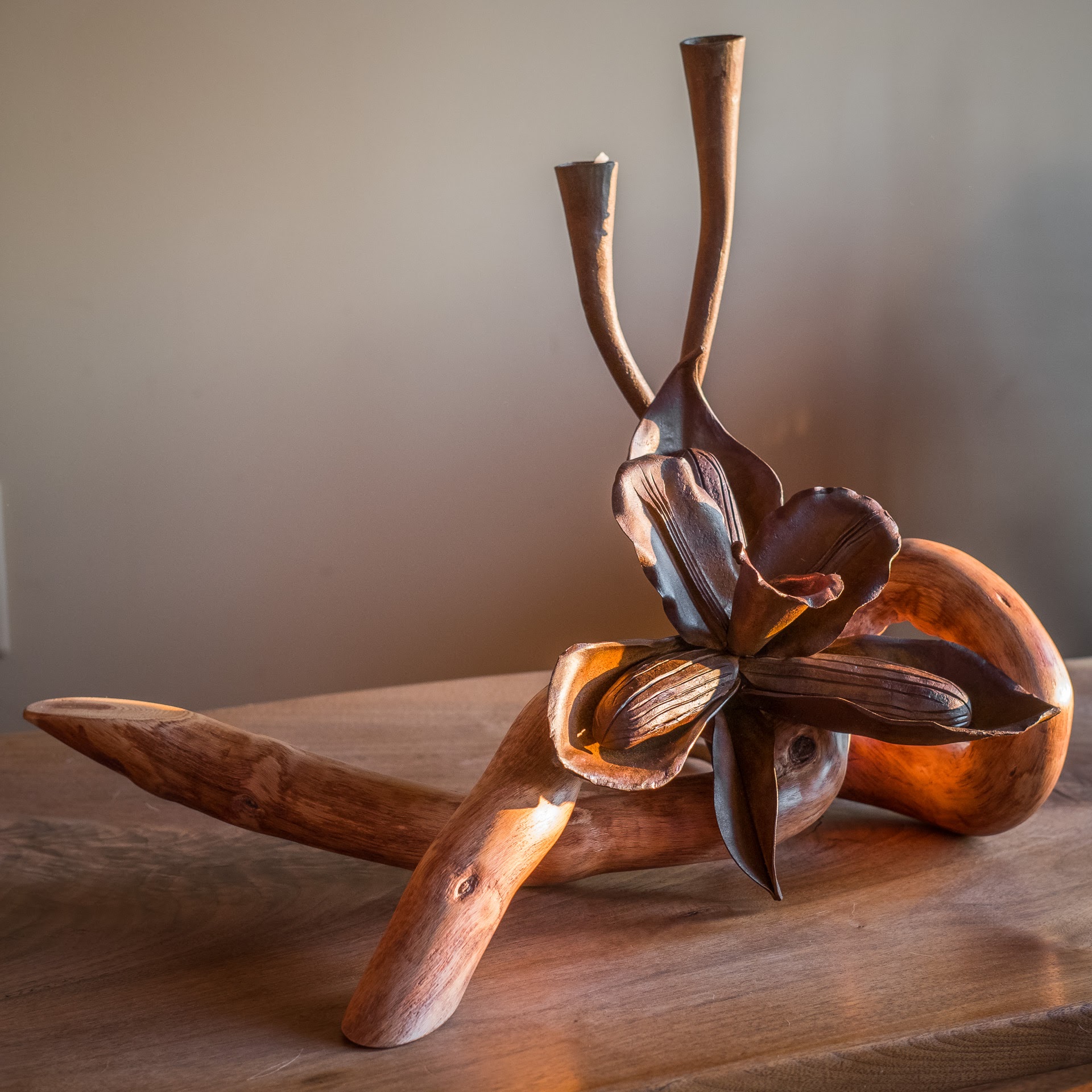 "Cattleya" Forged steel, bittersweet vine