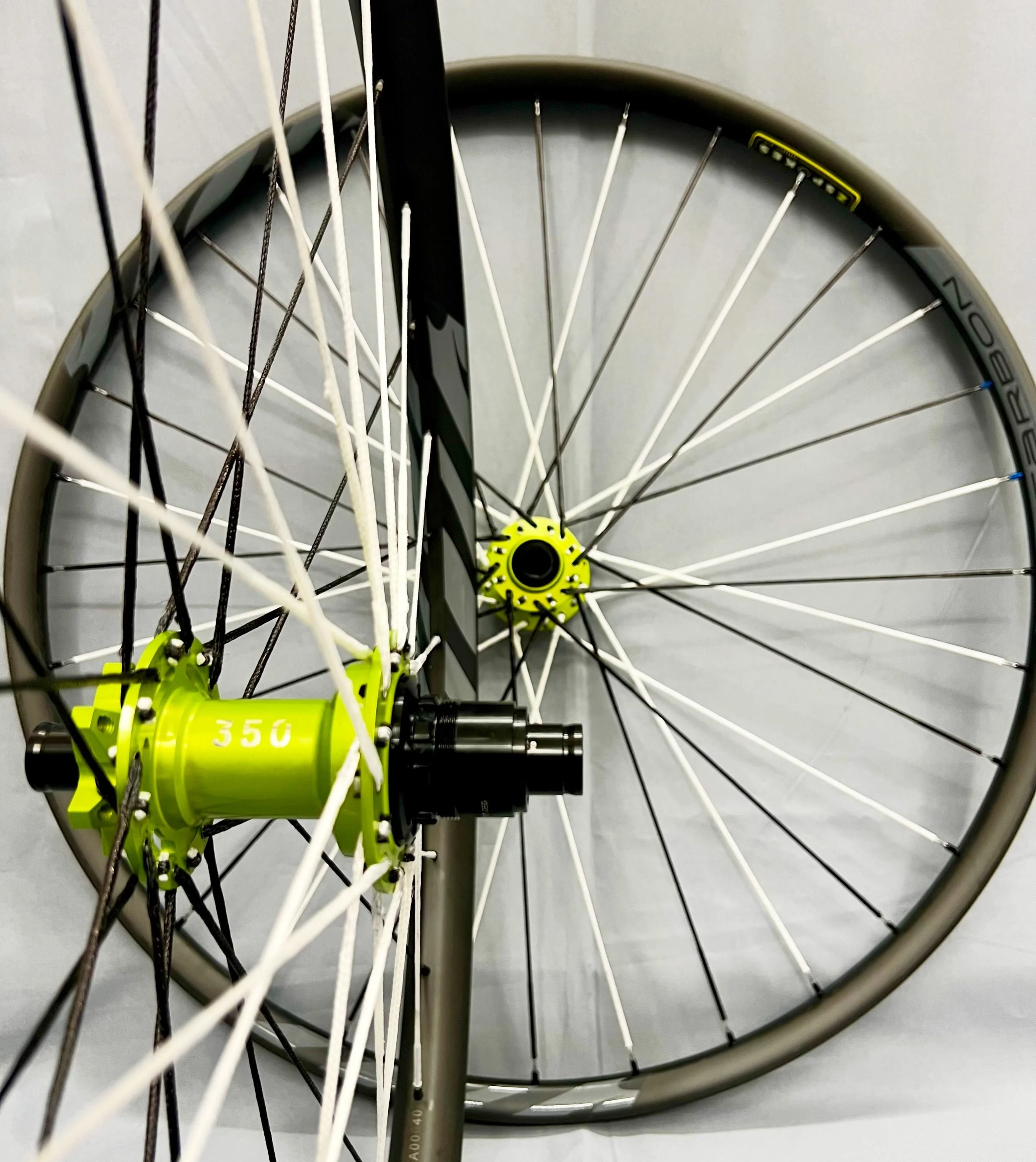 NUDZ0306.JPG