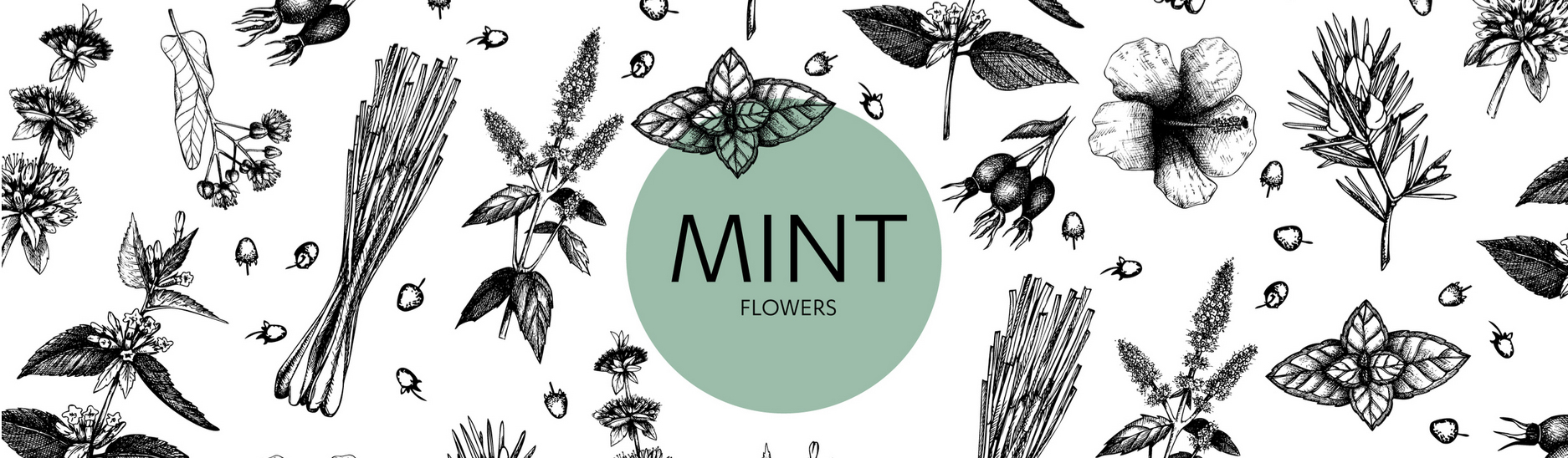 mint-main-image.jpg