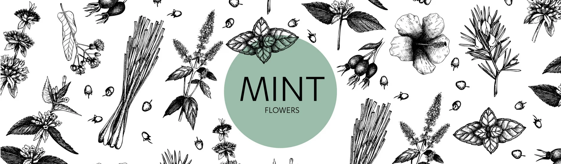 mint-main-image.jpg