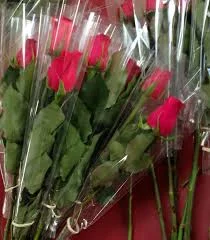 wrapped single roses.jpg
